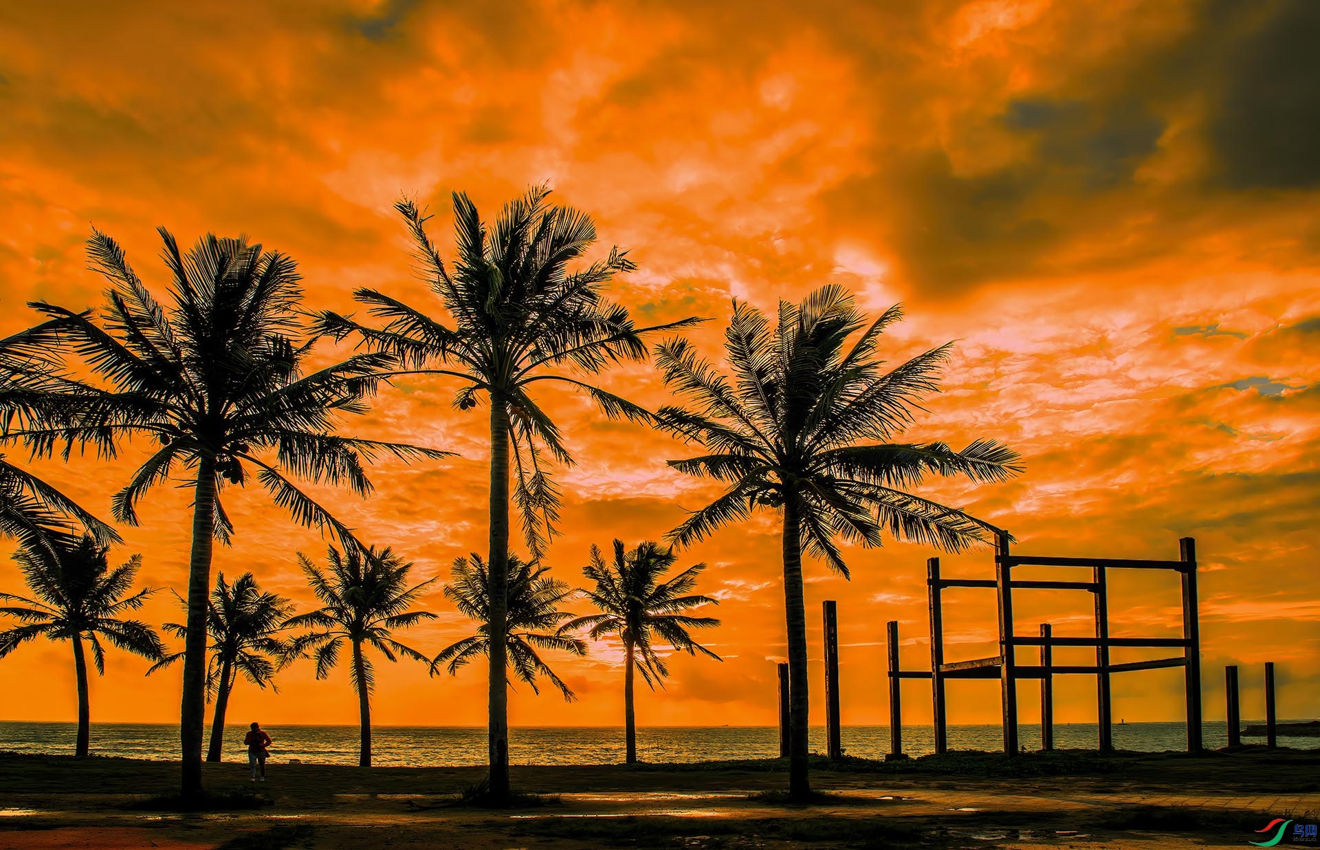 _DSC5434-NEF_DxO_DeepPRIME - Ҭ����Ӱ.jpg