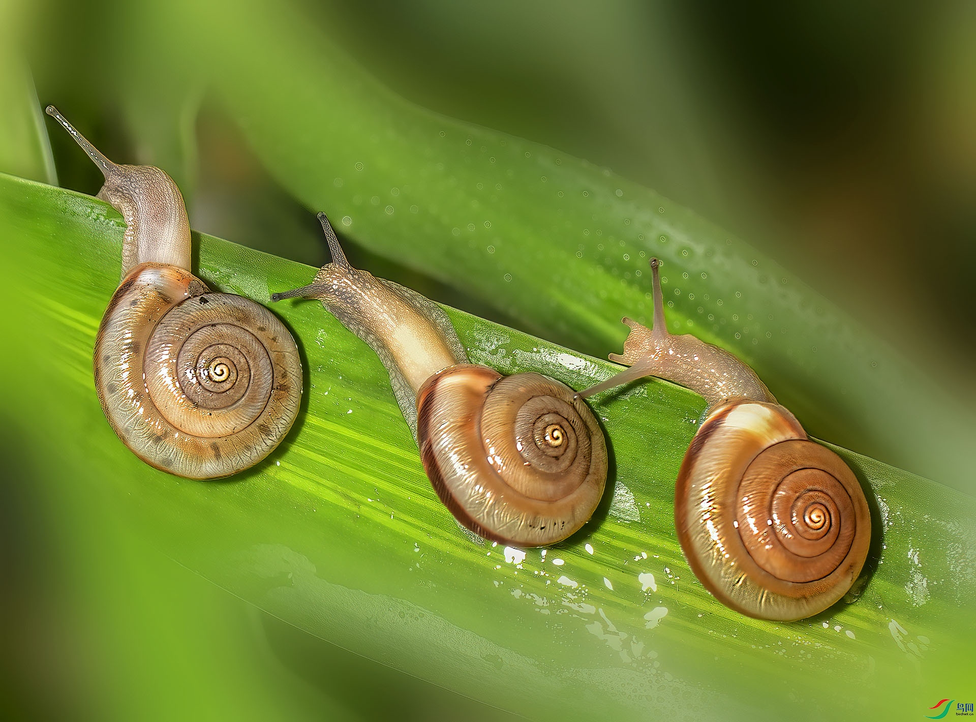 DSC_9558 - ����ǰ��.jpg