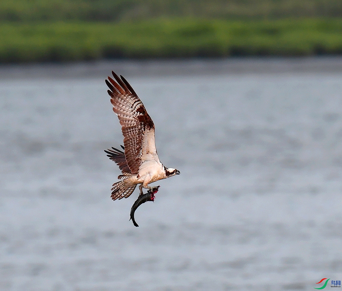 ��Ƭ 1218 - ����.jpg