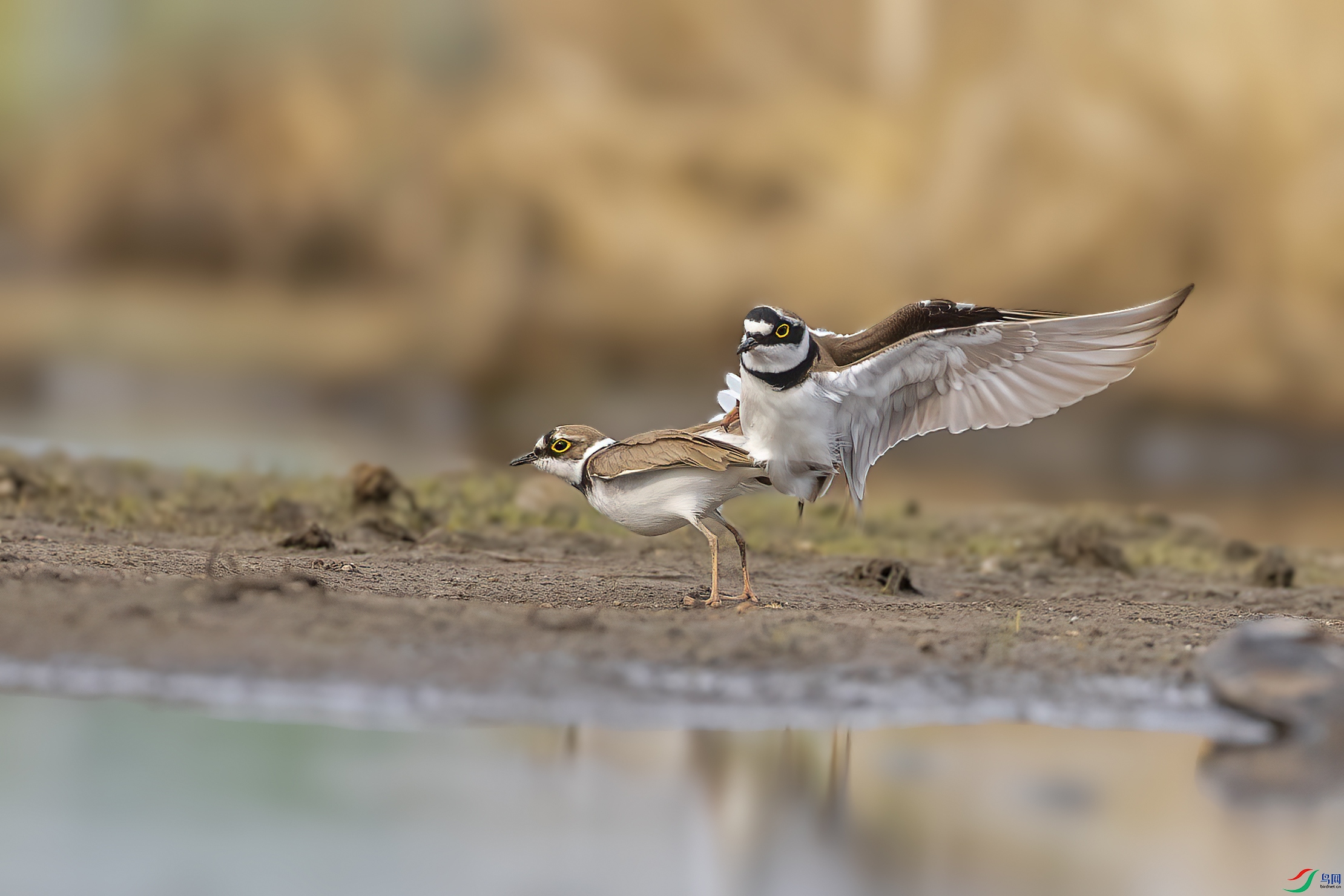 0D7A1368 ����.jpg