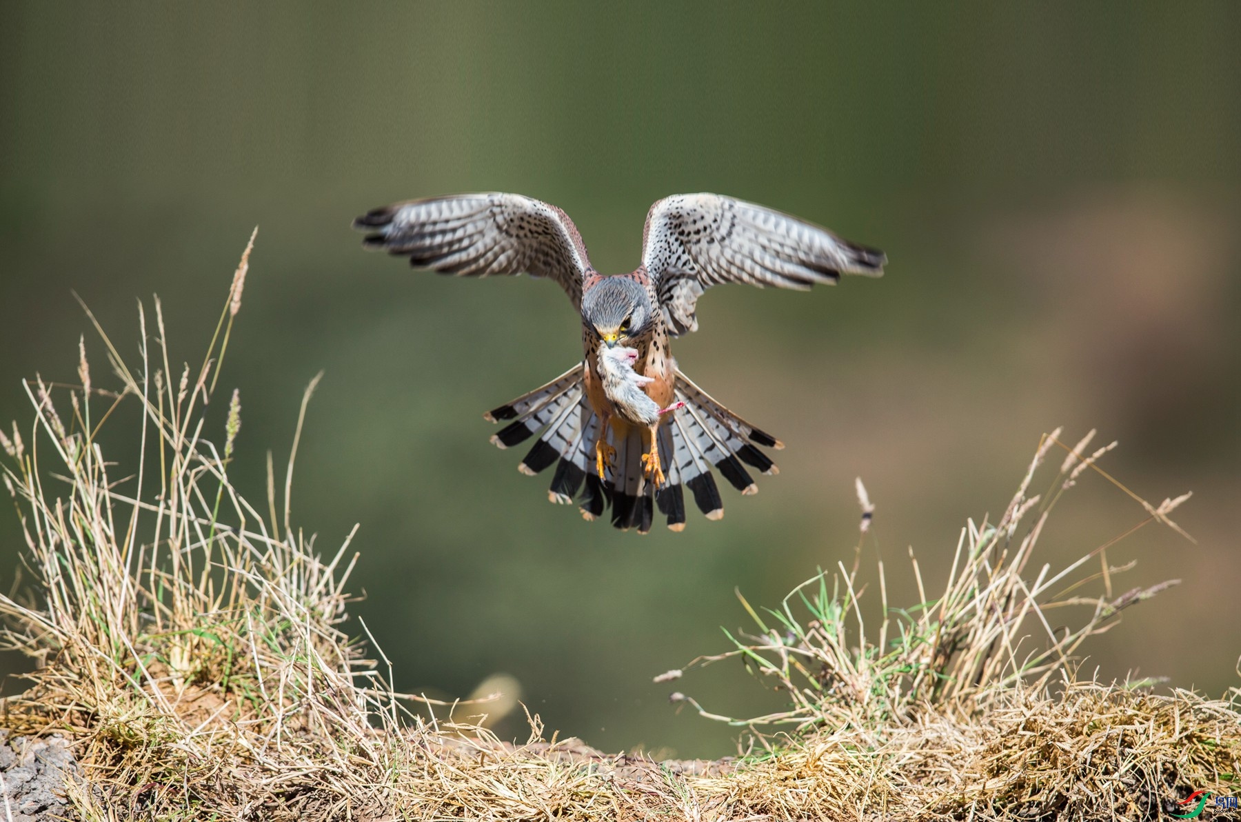 _R4R2376 - ����.jpg