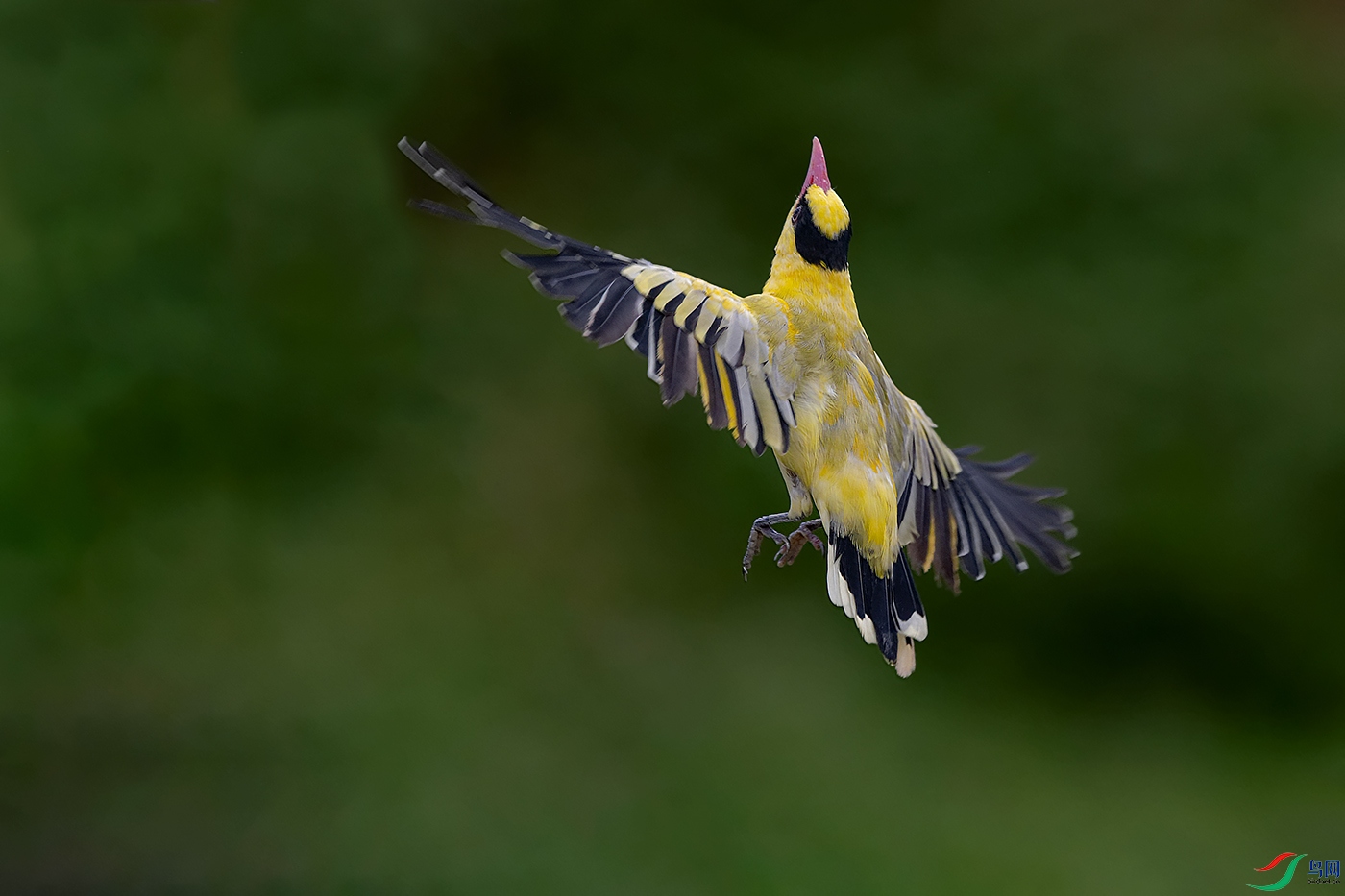 DSC_7851_DxOa.jpg
