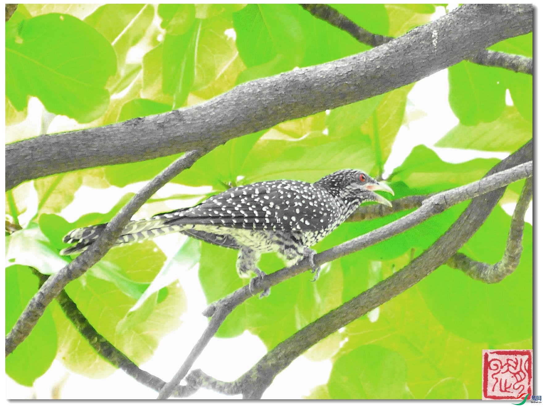 _DSC6060_����_���� - �}�u.jpg