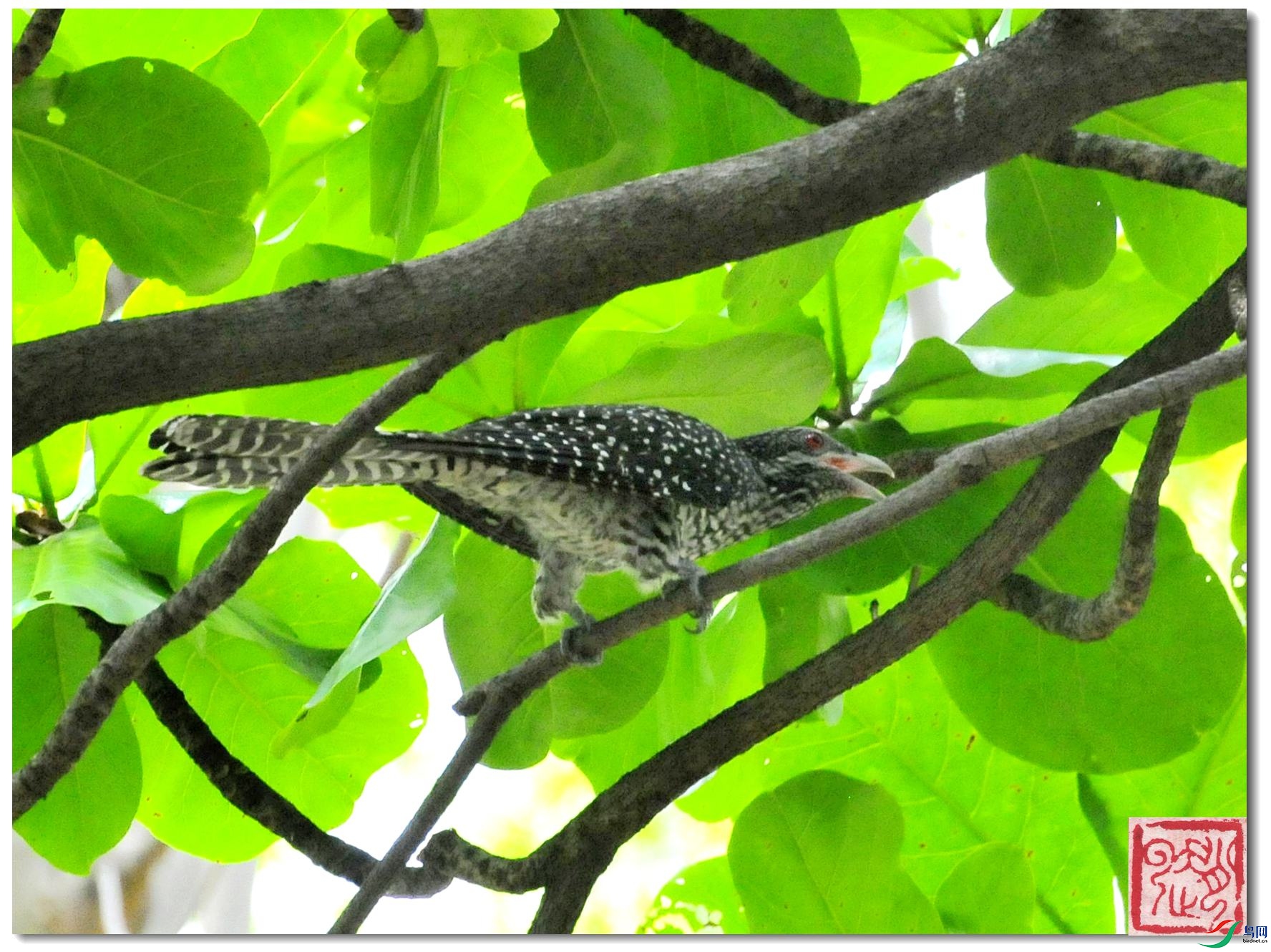 _DSC6053_����_���� - �}�u.jpg