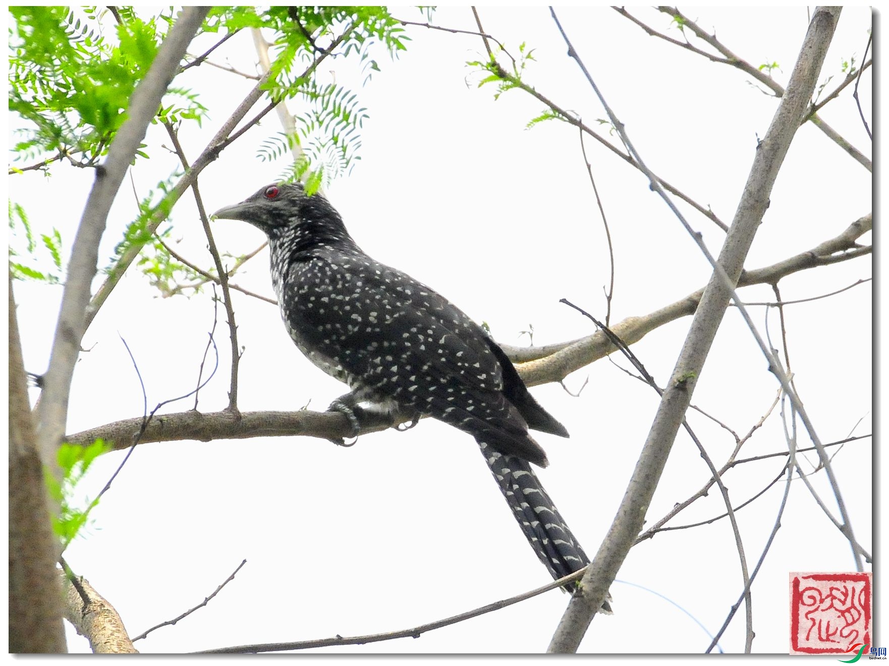 _DSC6094_����_���� - �}�u.jpg