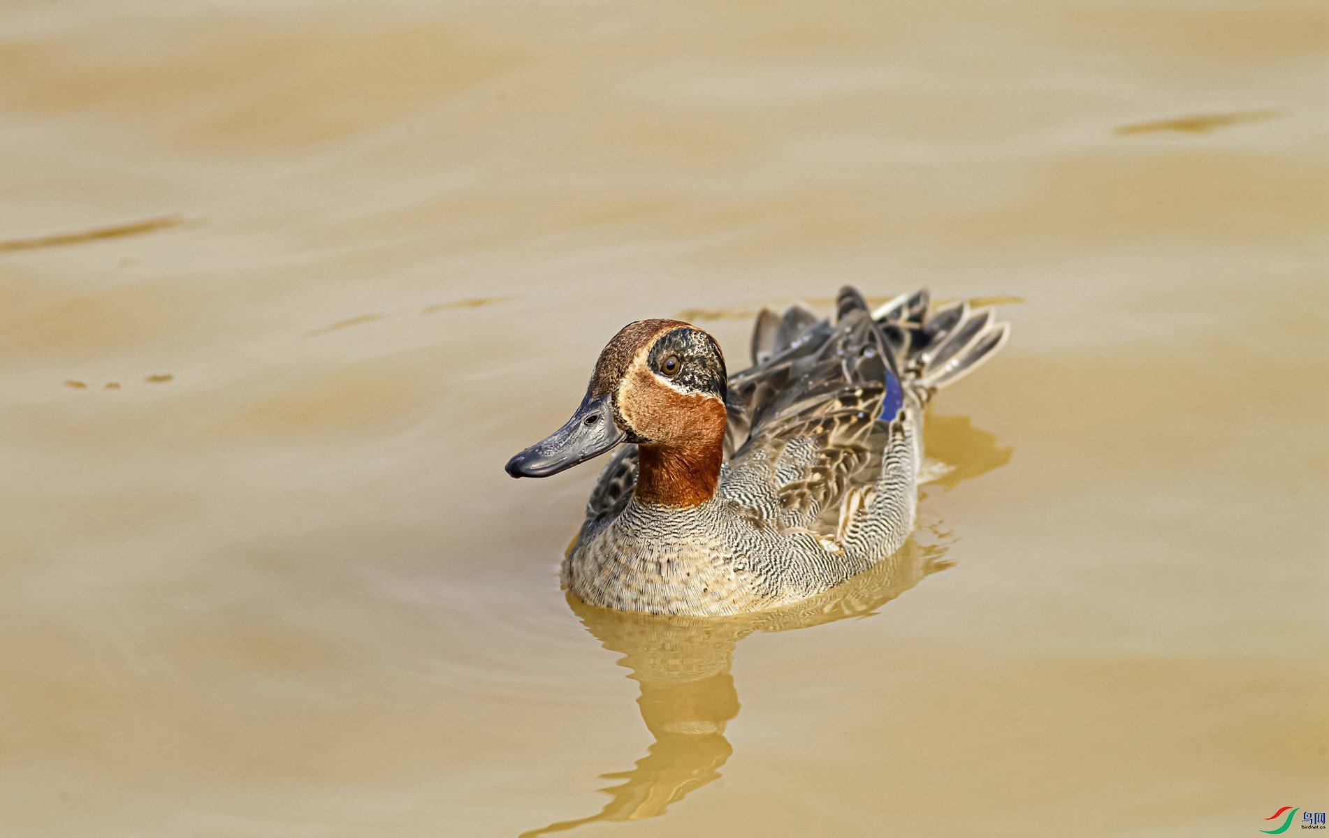 �̳���Ѽ��������201612.8���豦18761307017 (2)_����.jpg