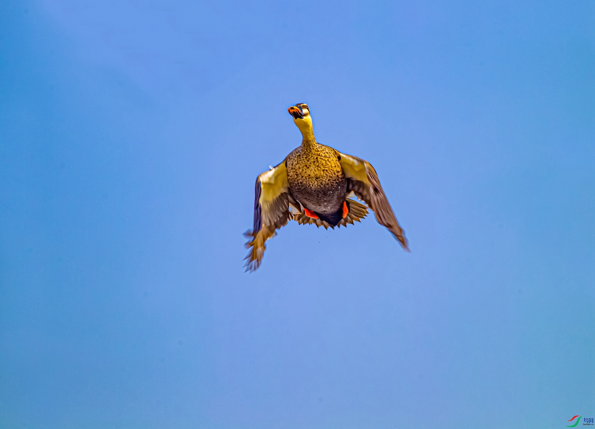 ����Ѽ��������2016.12.8.���豦18761307017 (2)_����.jpg