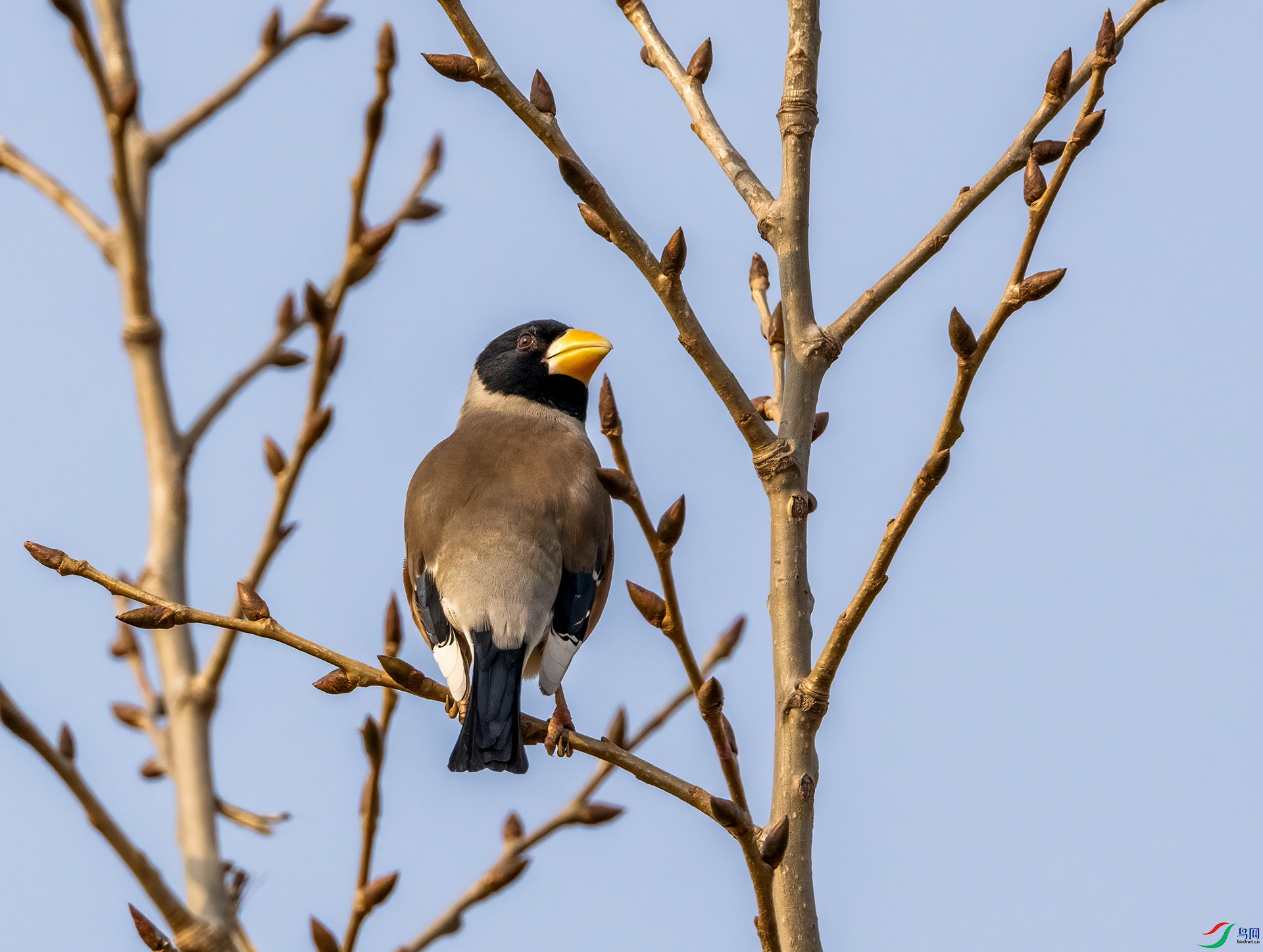 4E9A6190_08- ����.jpg