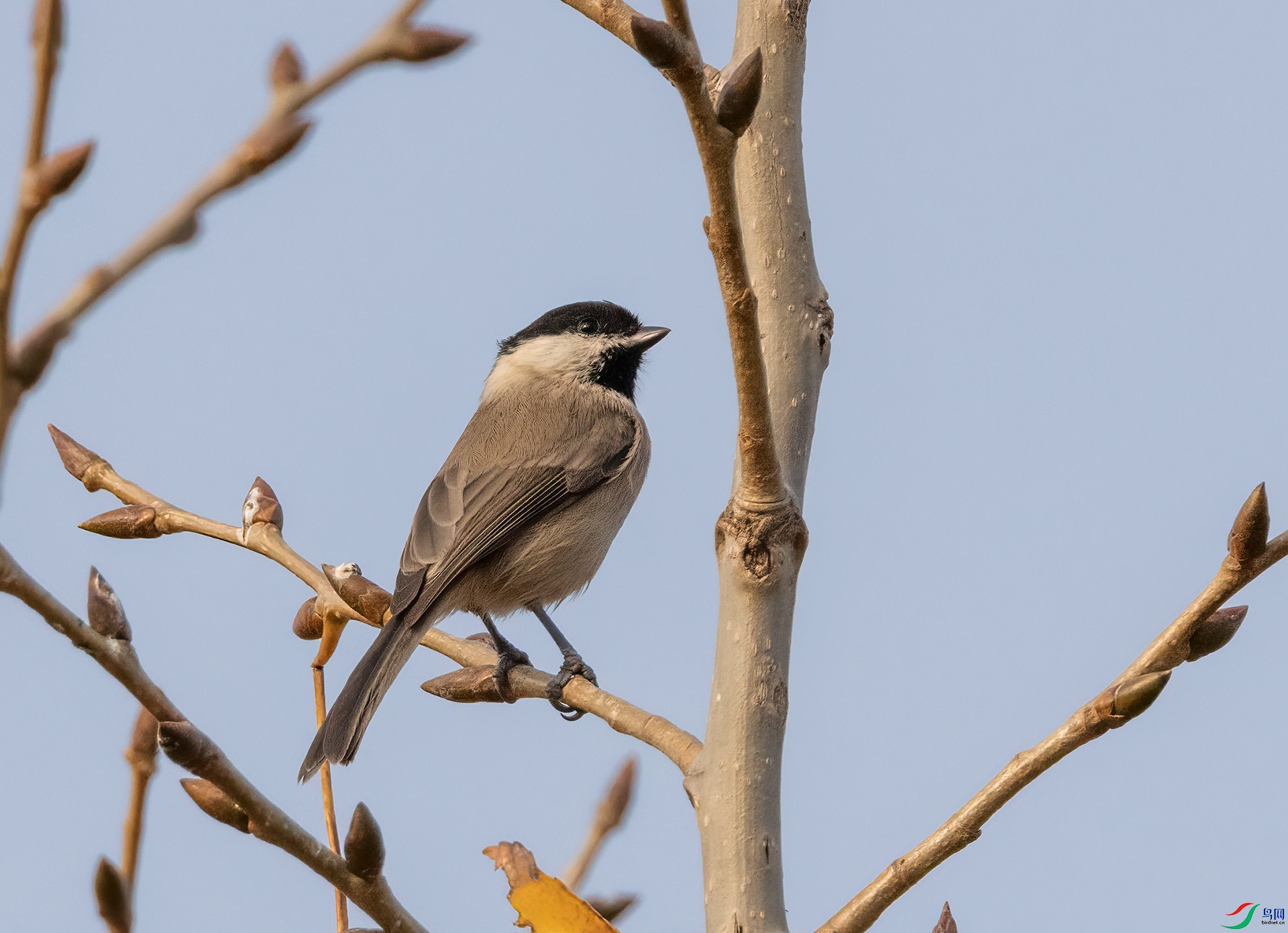 4E9A6179_24- ����.jpg