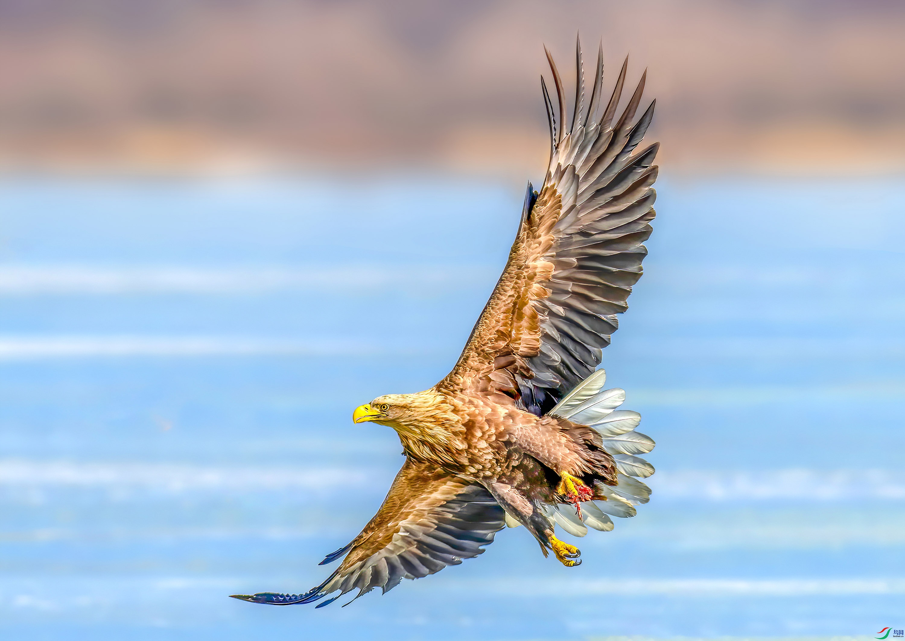 _JLN9391     ok     ok.jpg