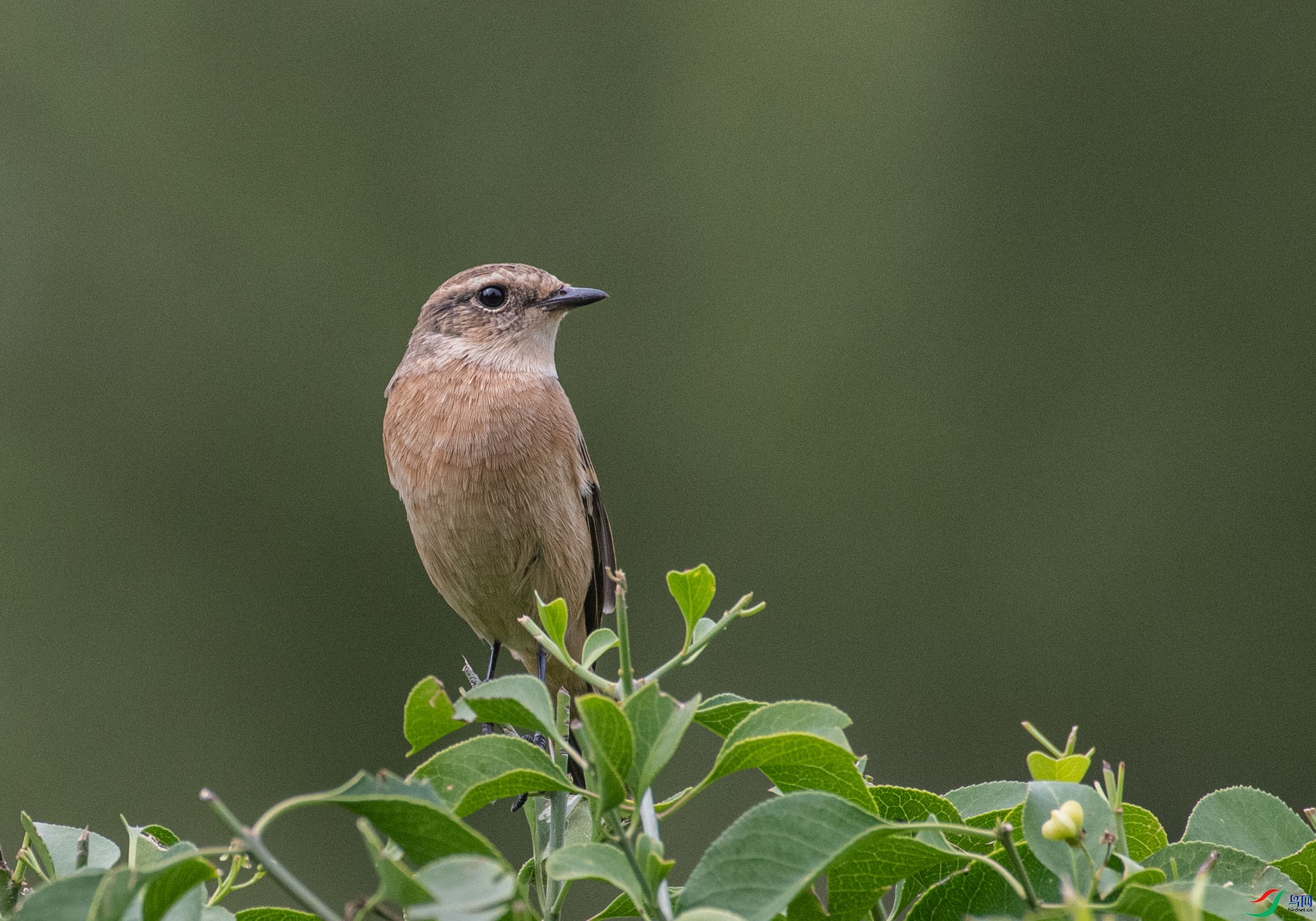 DSC_5915.jpg