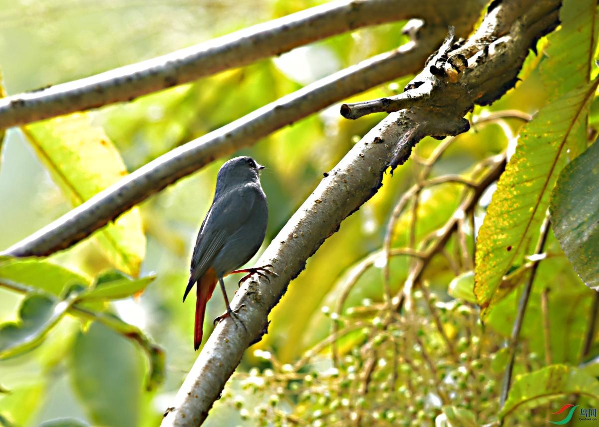 DSC_8816.JPG