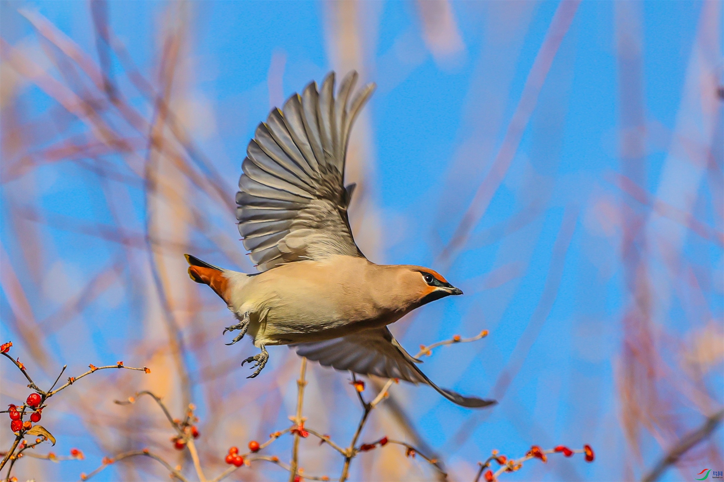 1K3A6549 ����1.jpg