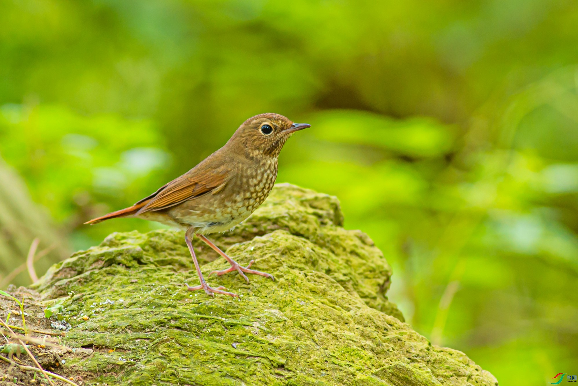 ��β���2014.9.24��ӥ���� (3).jpg