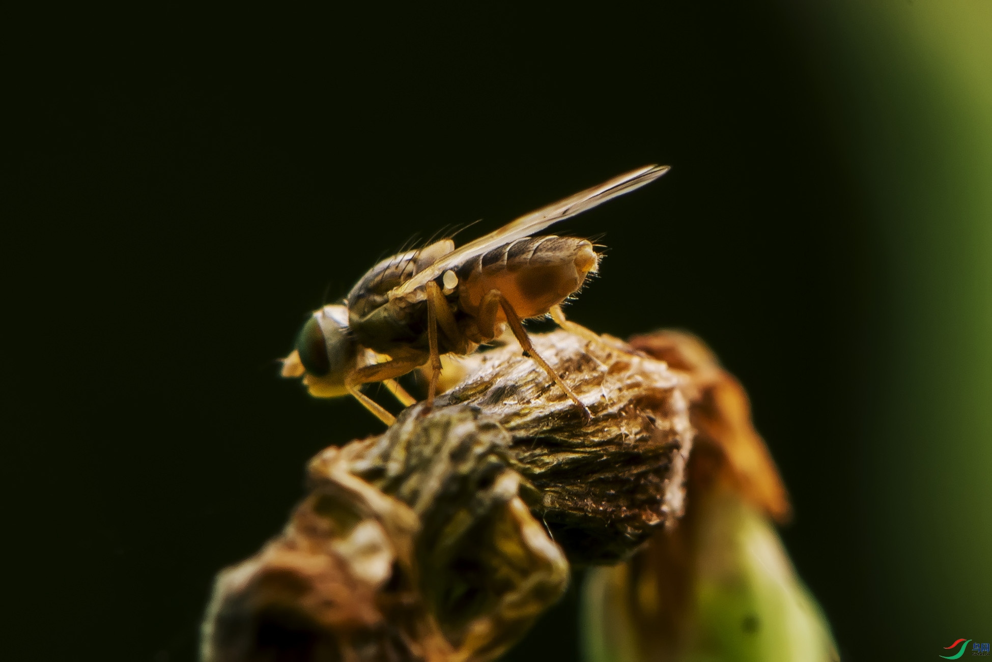DSC_4943.jpg
