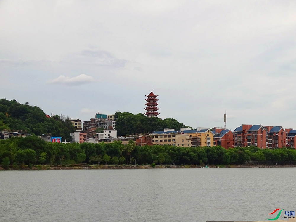 DSC01788_����.jpg