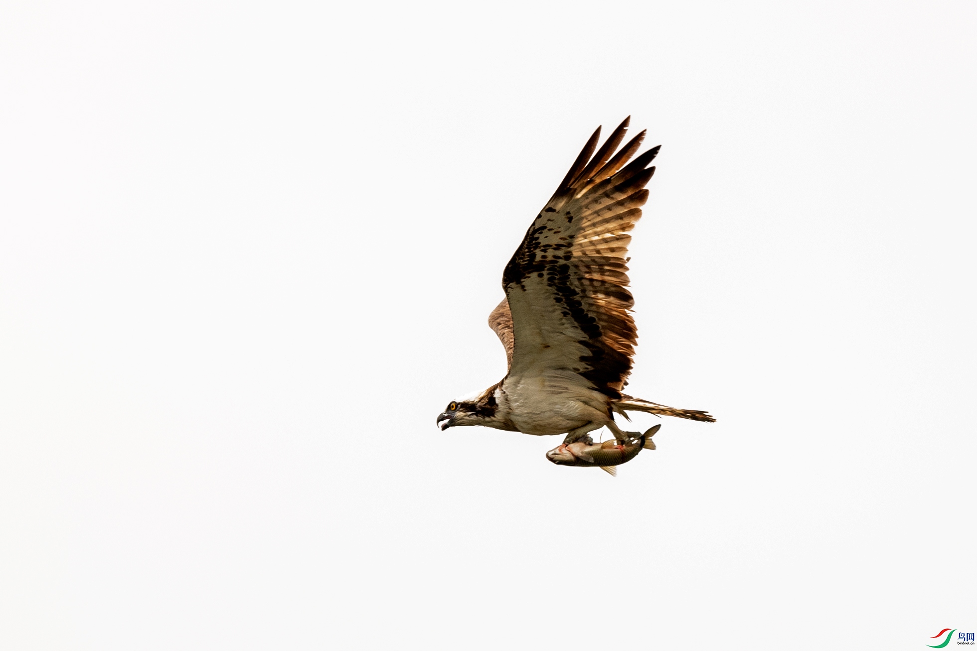 DSC_9092 (1).jpg