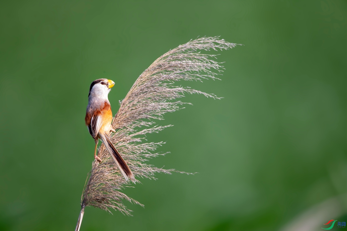 AH0Z3054_���� - ����.jpg