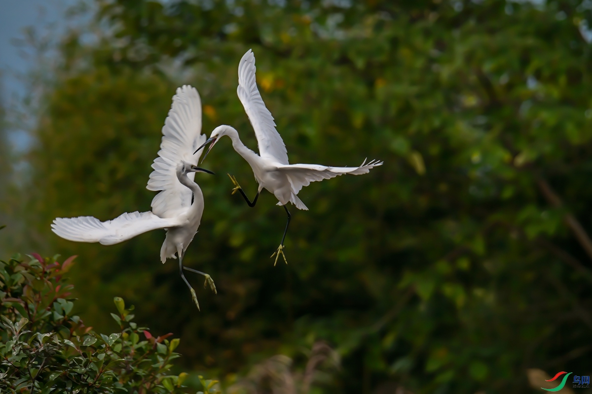 DSC_4741.jpg