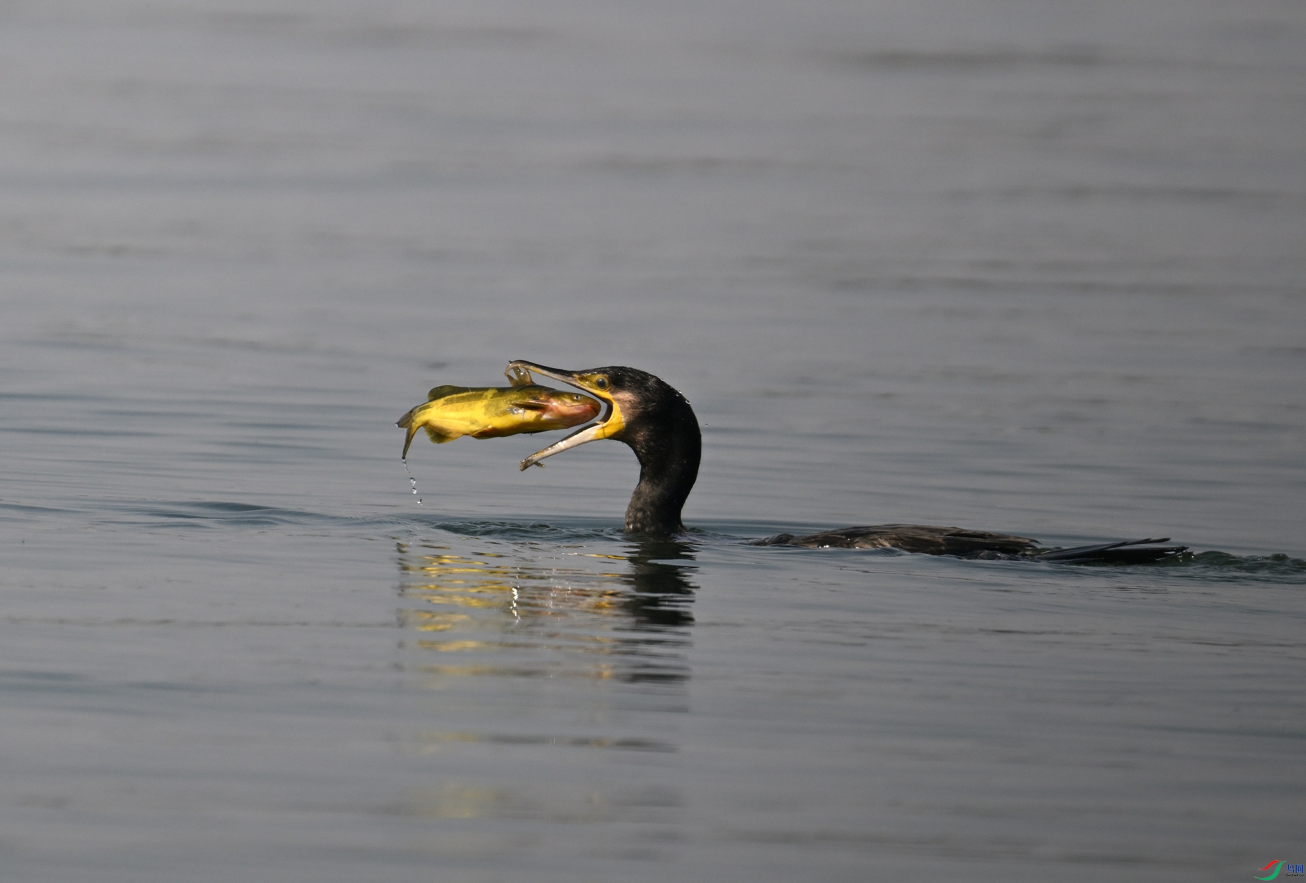 DSC_6142.JPG