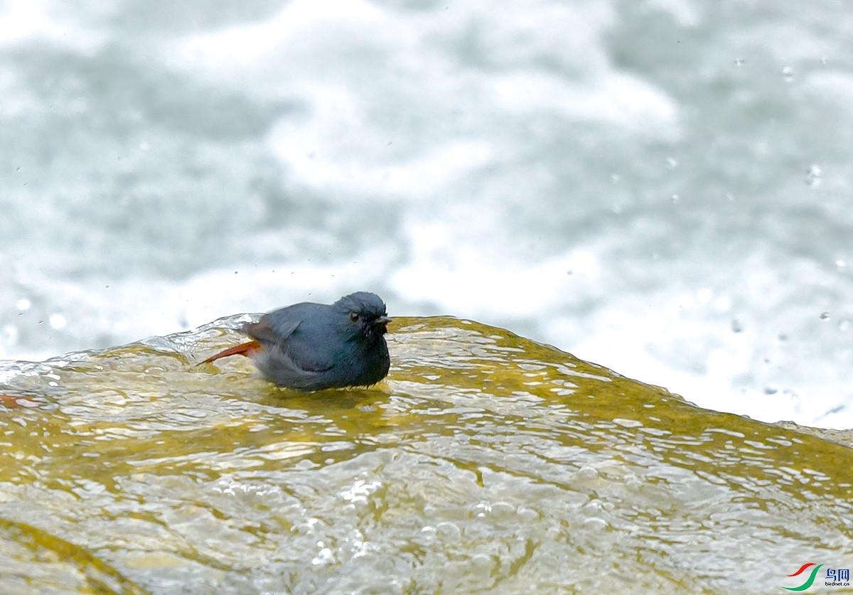 DSC_1267.JPG
