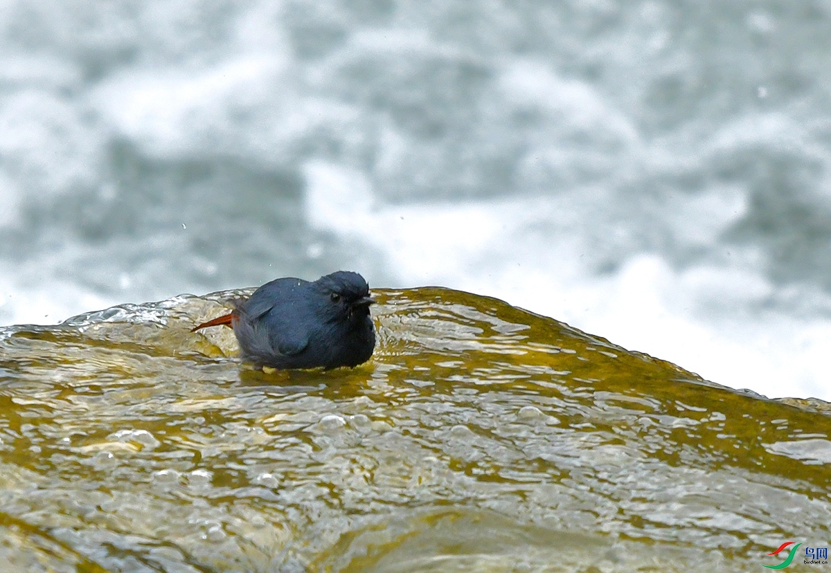DSC_1269.JPG