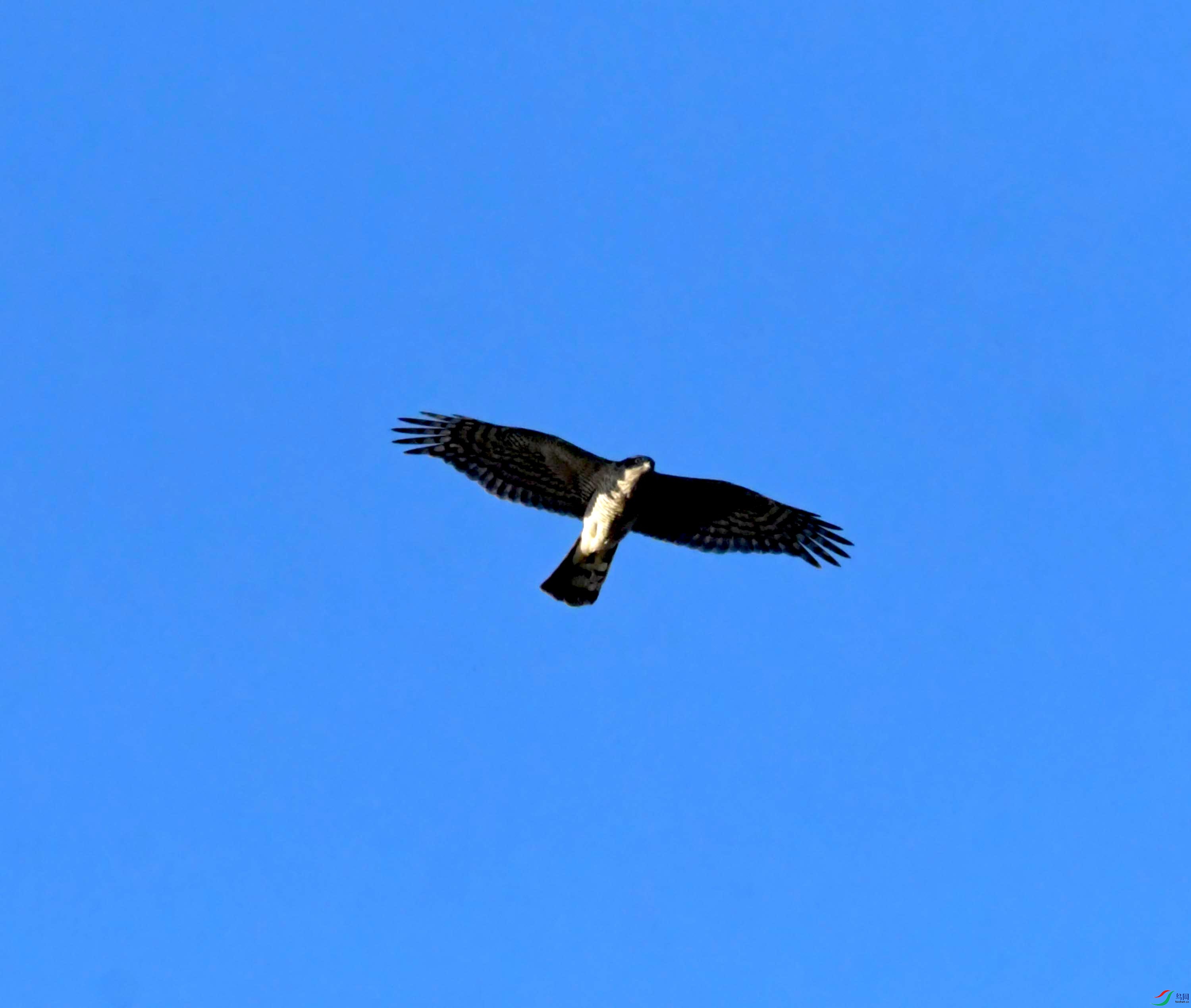 DSC_2925.JPG