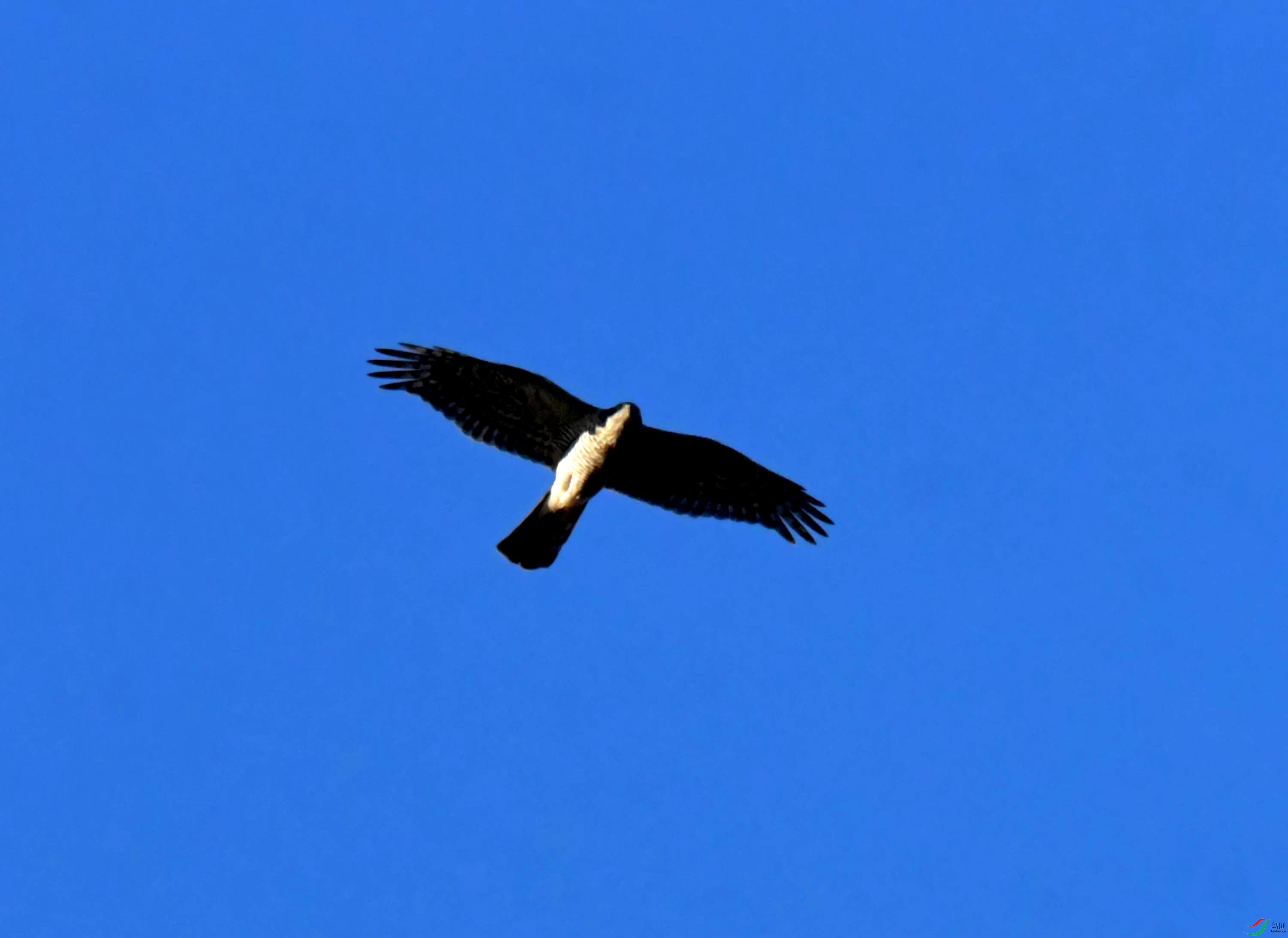 DSC_2928.JPG
