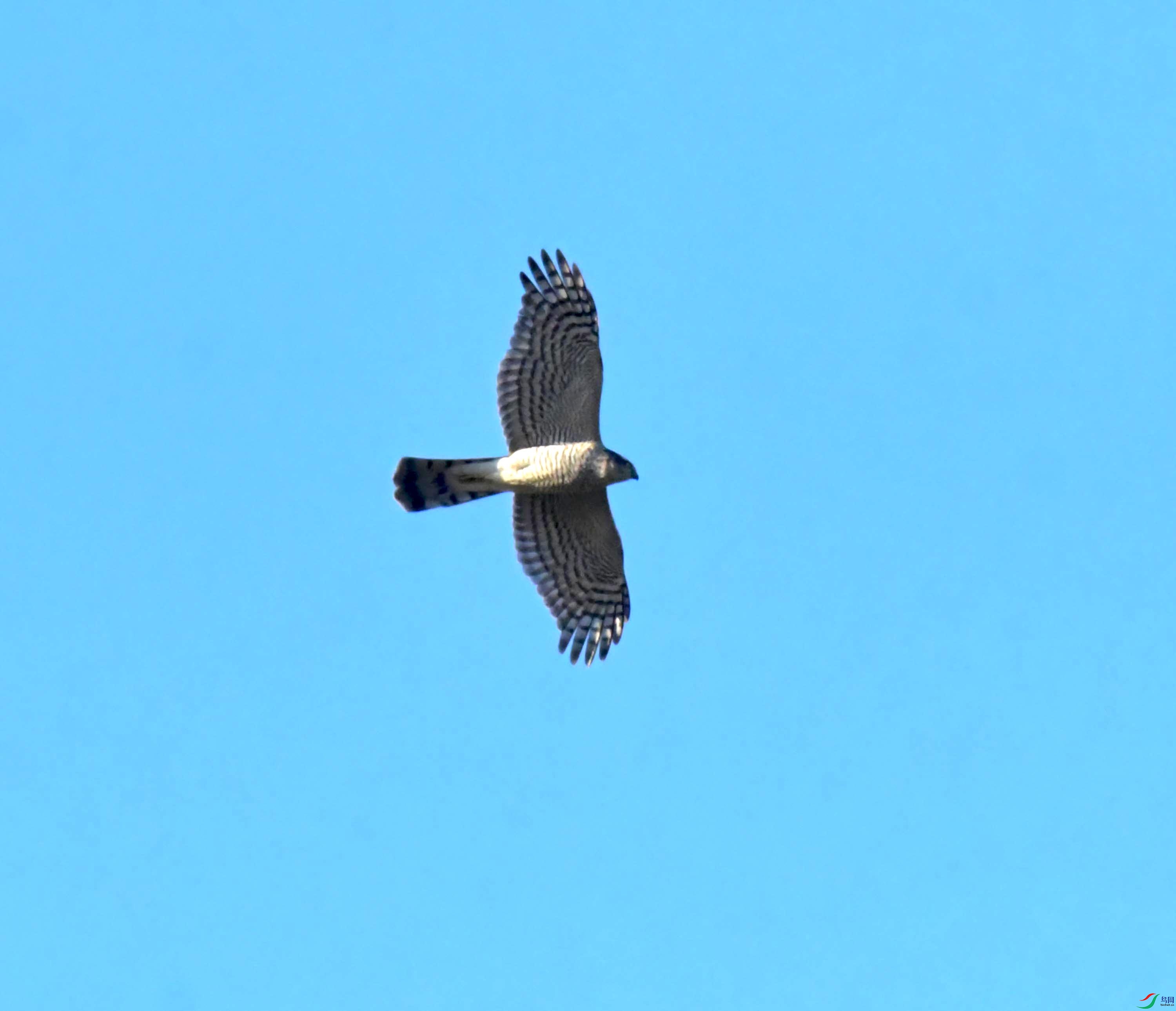 DSC_2932.JPG