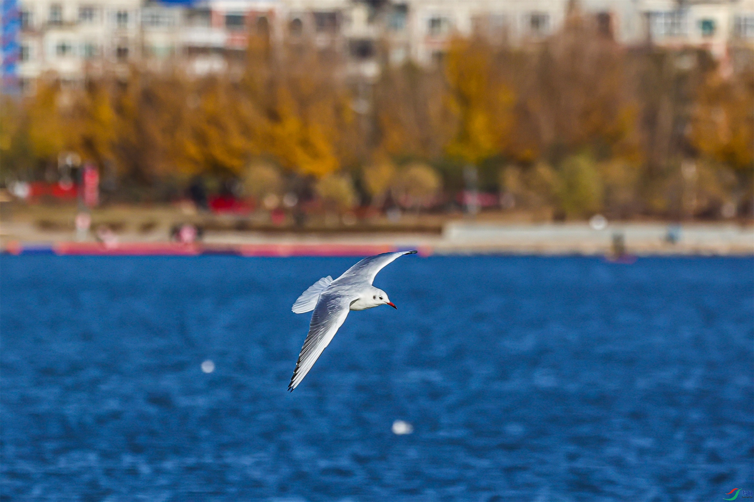 1K3A9798 ����1.jpg