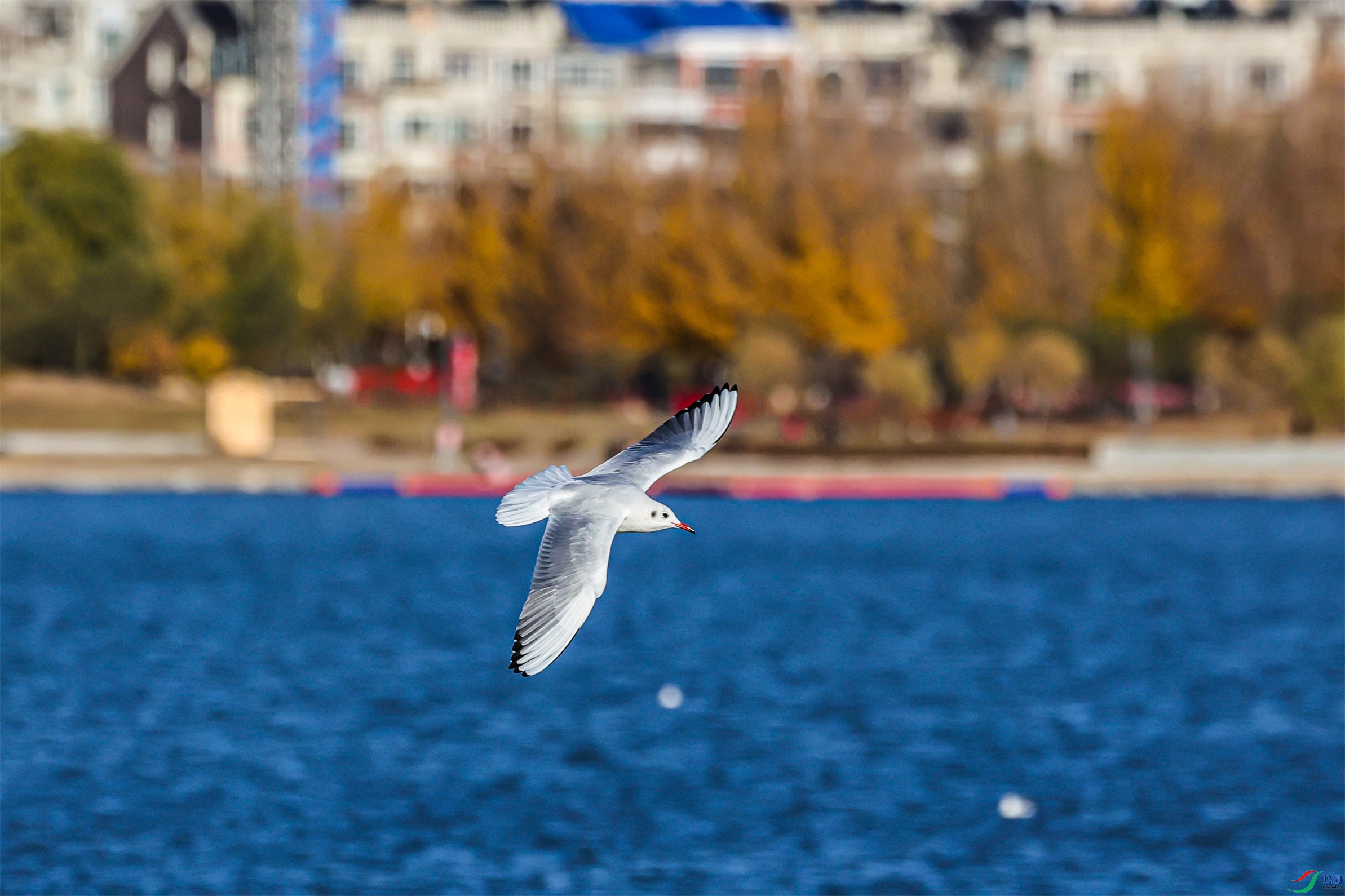 1K3A9797 ����1.jpg