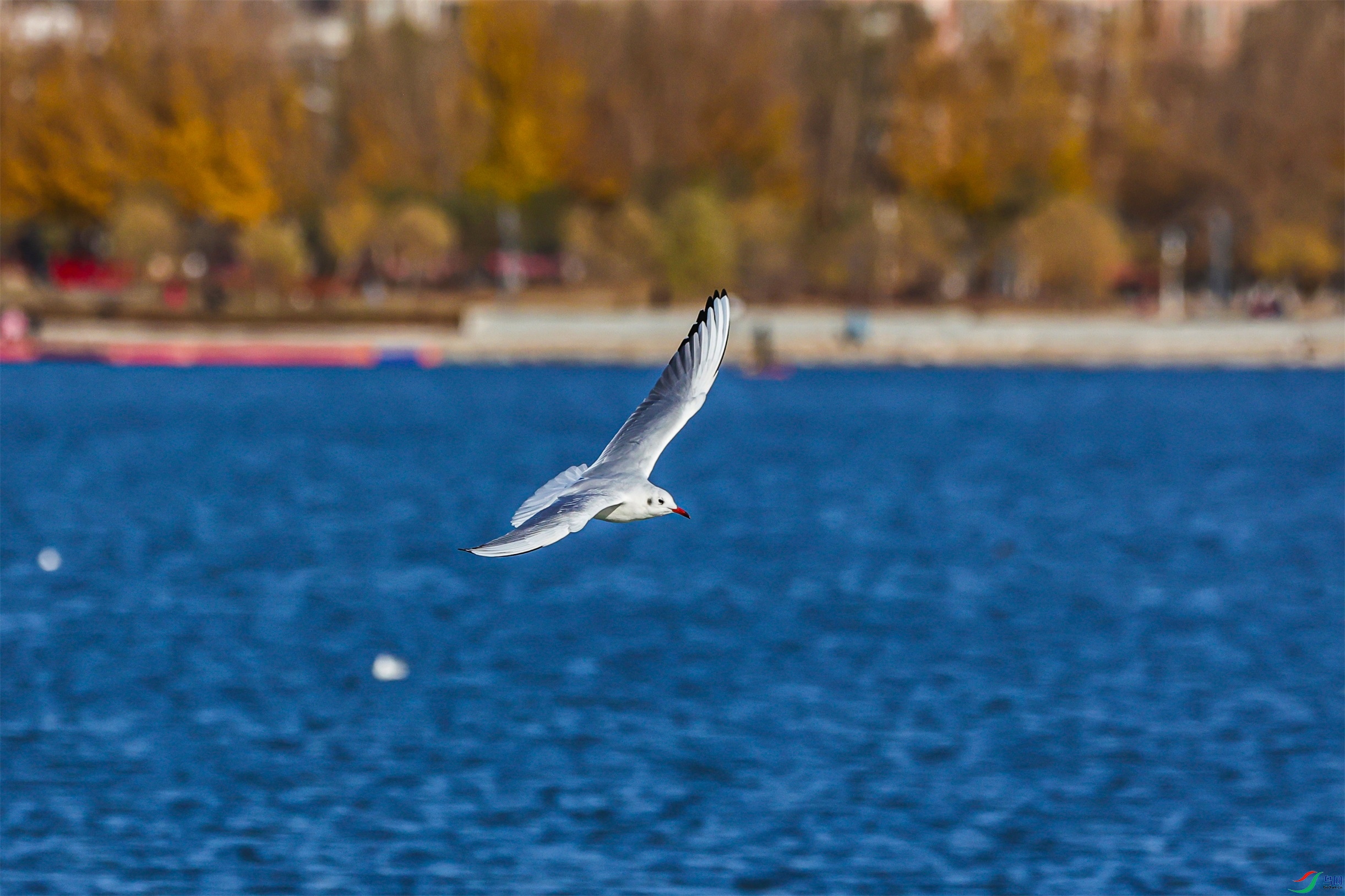 1K3A9799 ����1.jpg