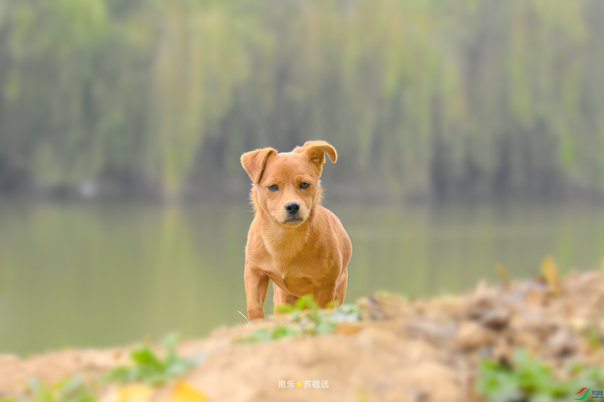 _DSC0714С.jpg