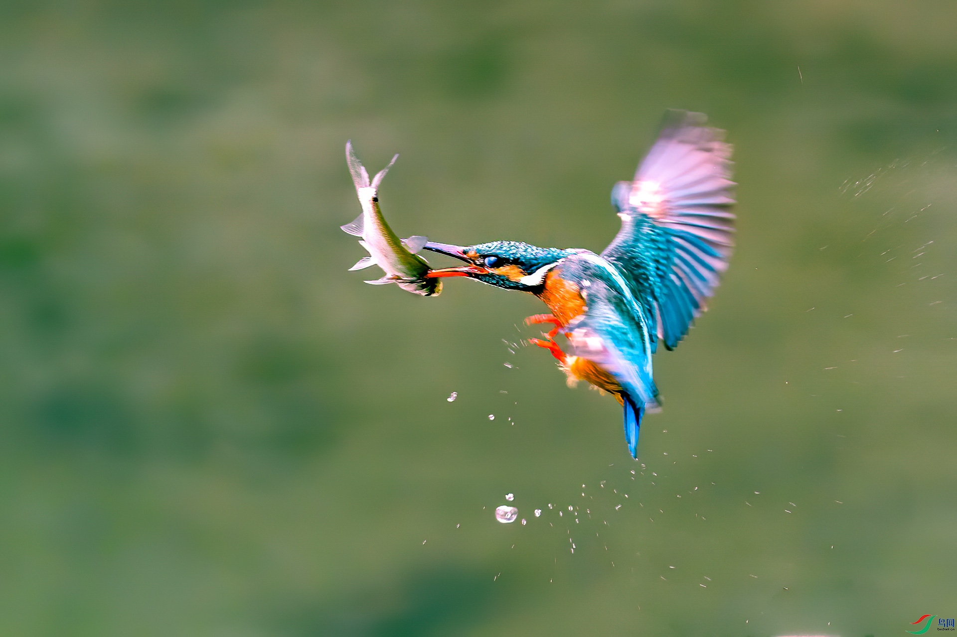 ����˲��