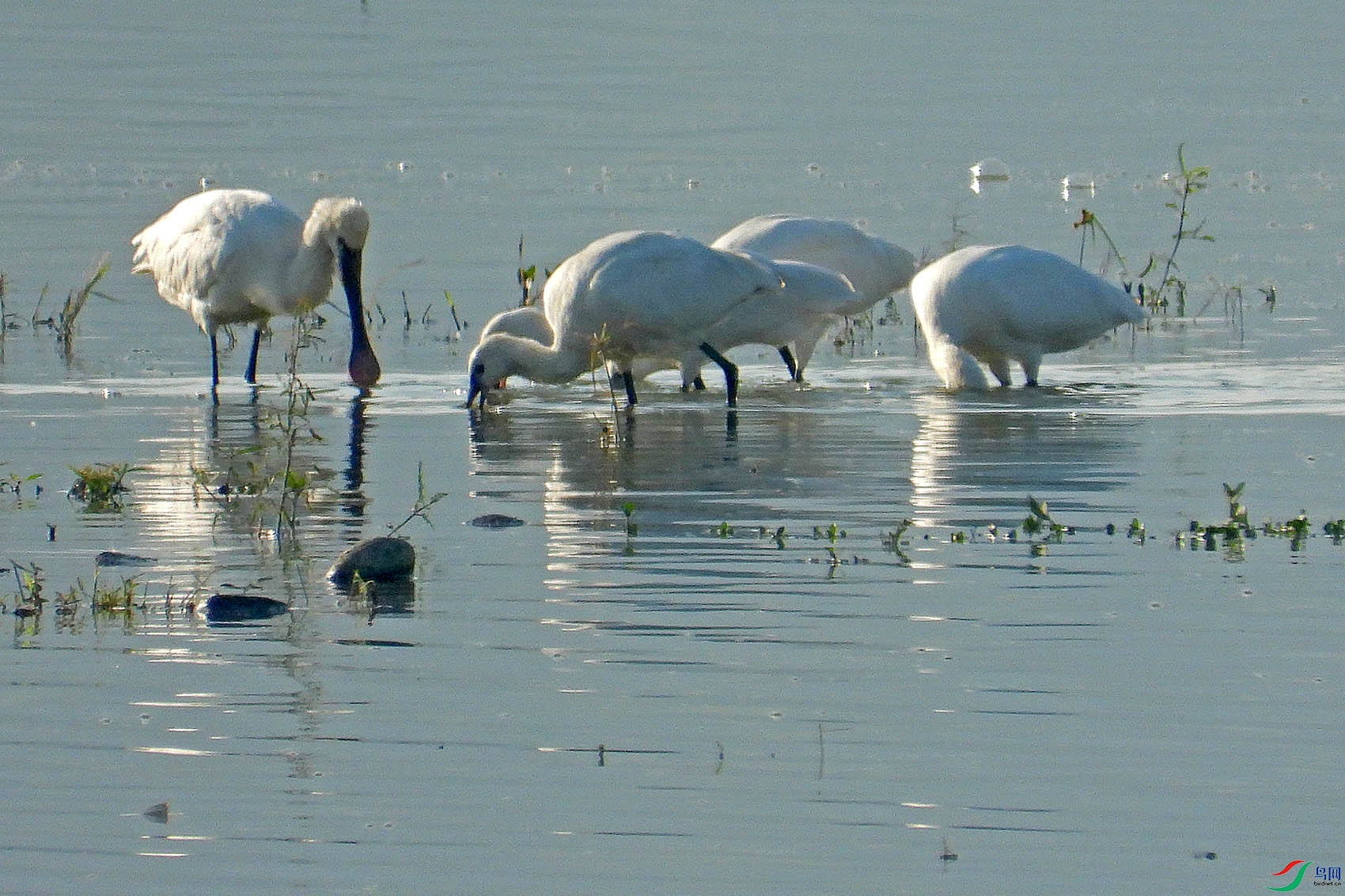 DSCN7614.jpg
