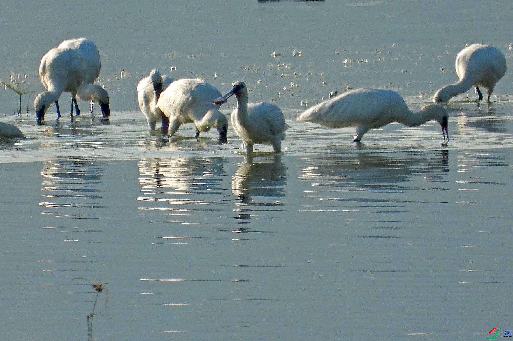 DSCN7616.jpg