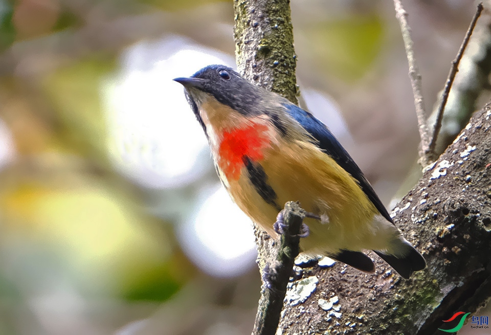 DSCF7088.1.jpg