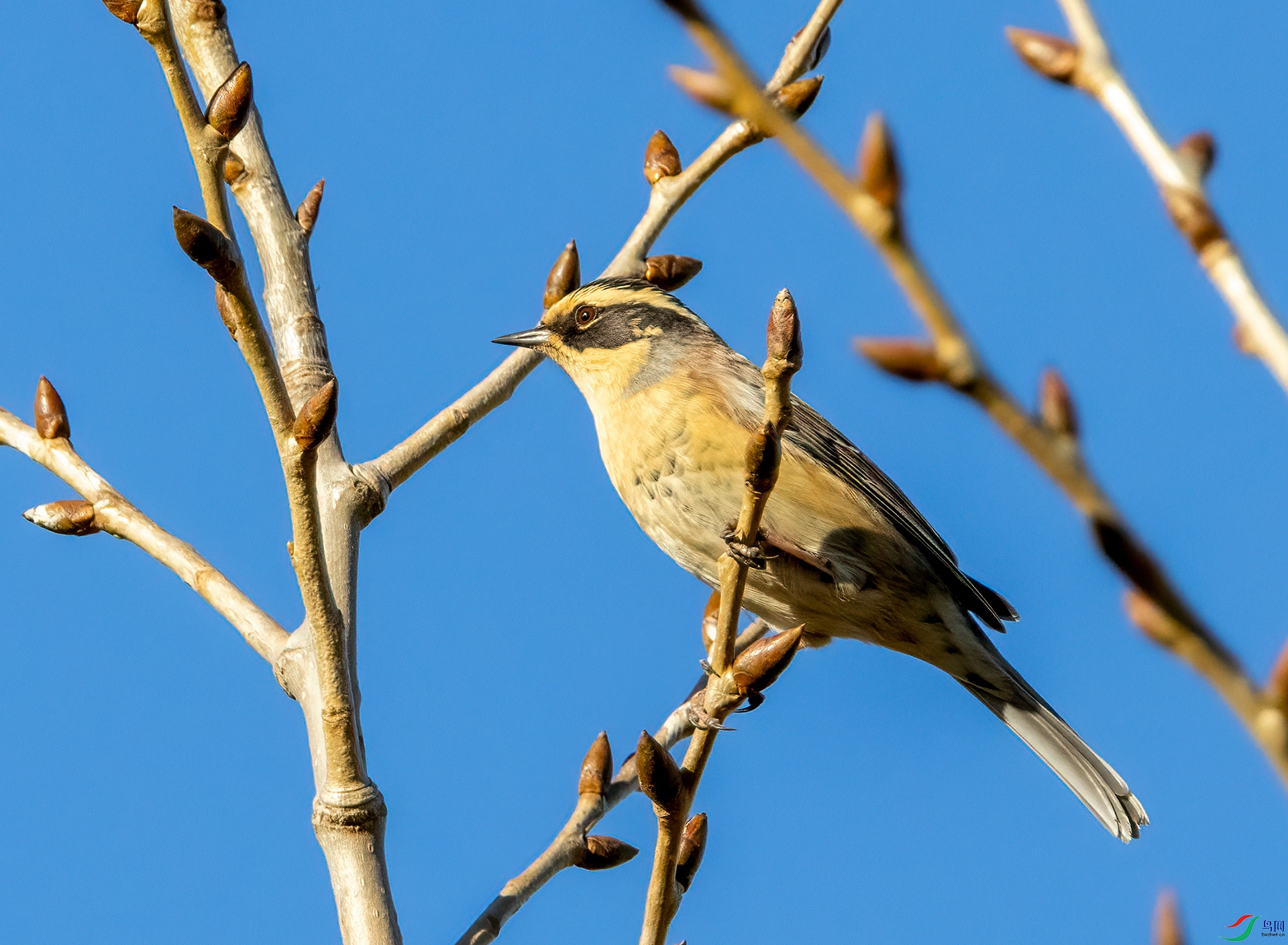 4E9A6299_02- ����.jpg