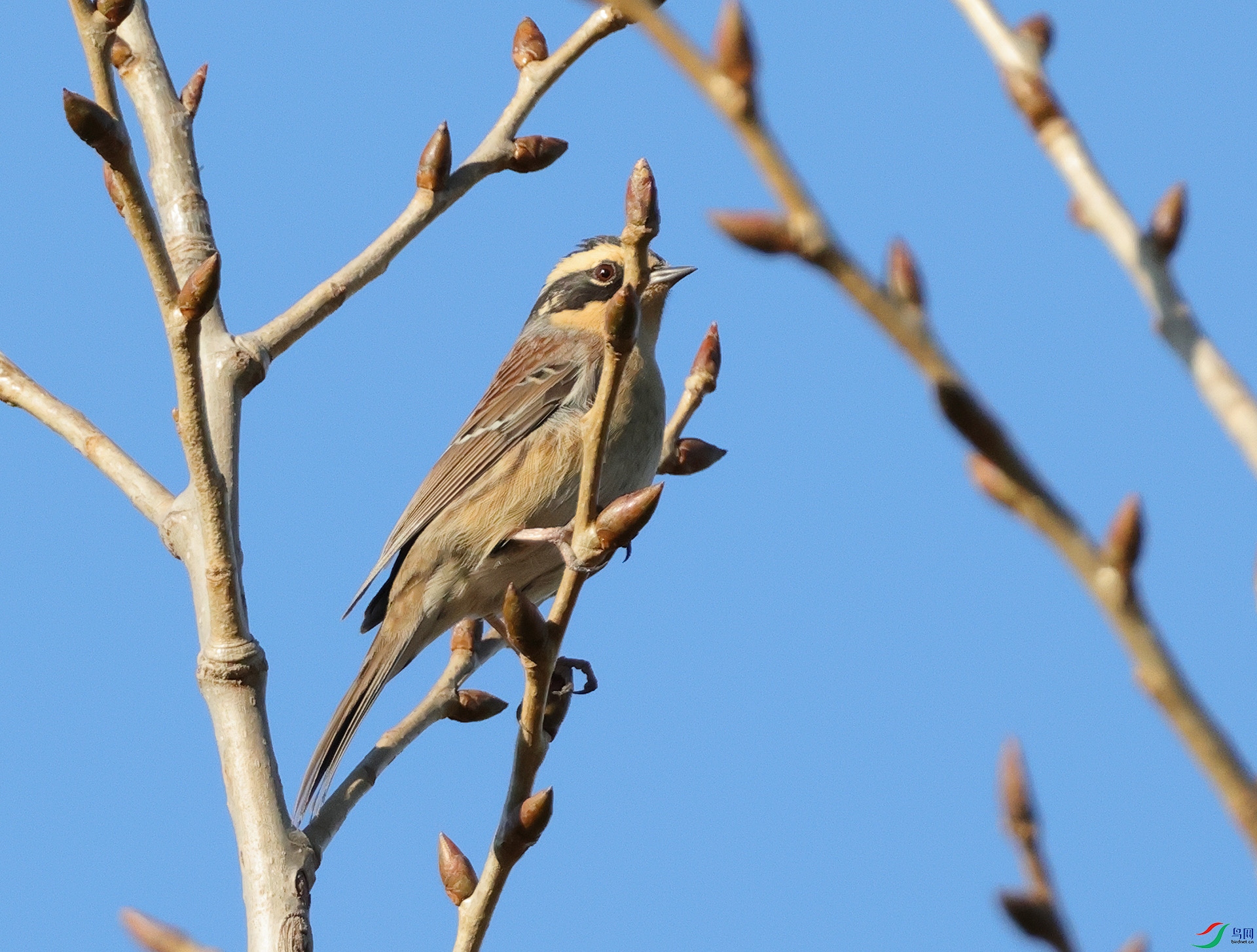 4E9A6298_11- ����.jpg