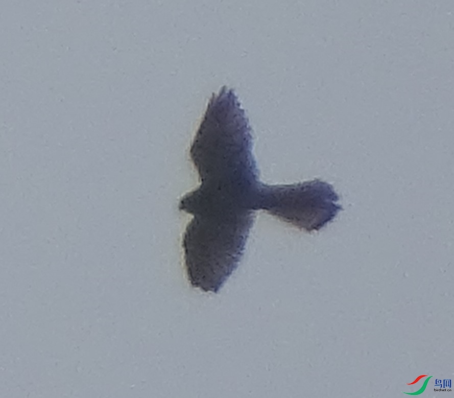 DSC05085.JPG