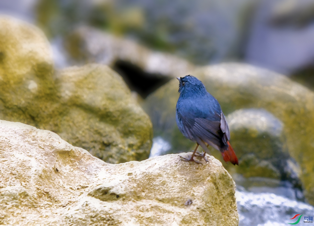 DSC_1340.JPG