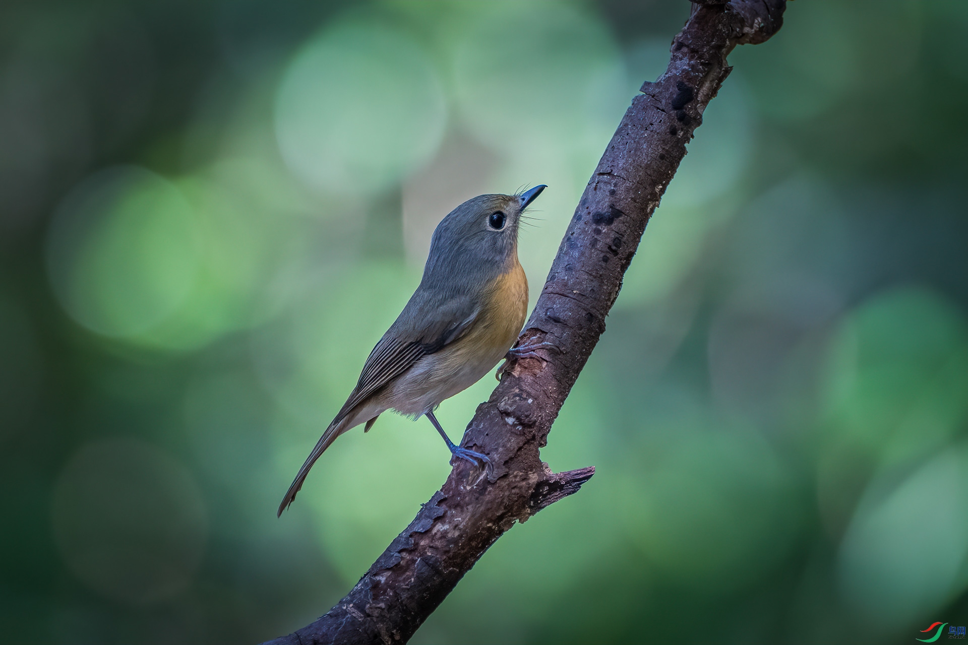 _DSC6684-Edit.jpg