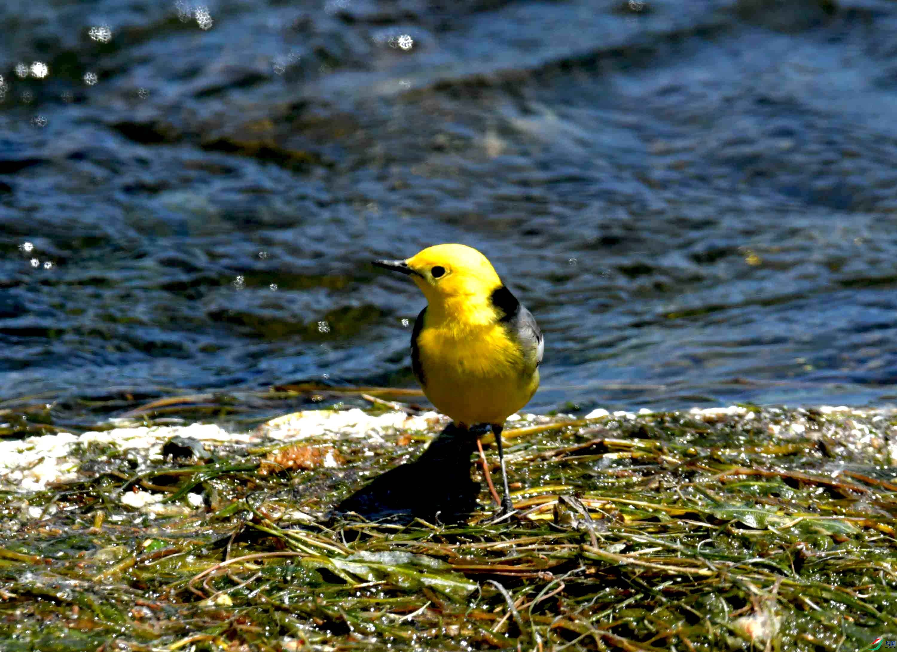 DSC_0112.JPG