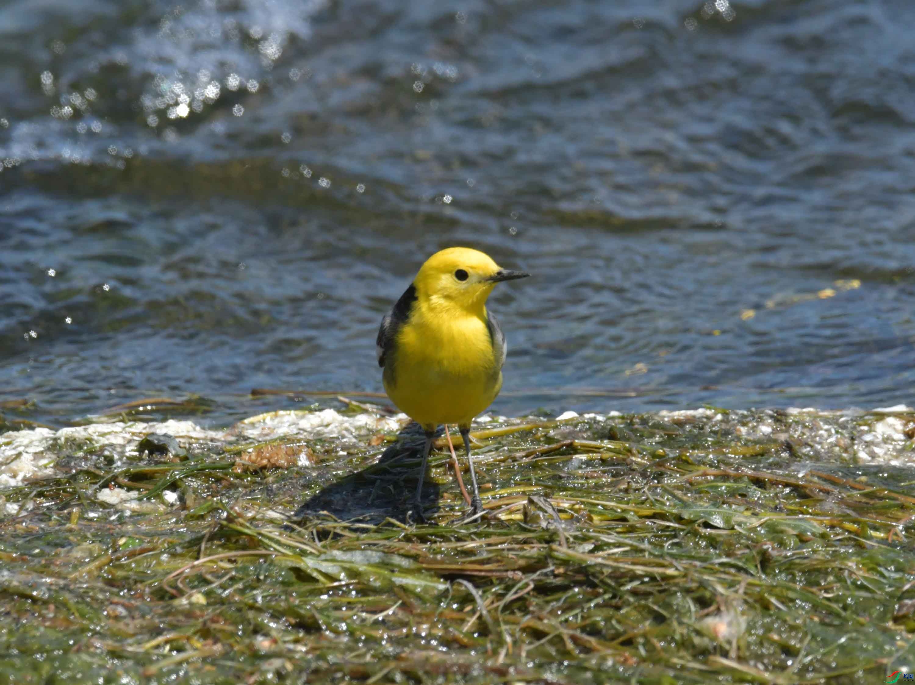 DSC_0109.JPG