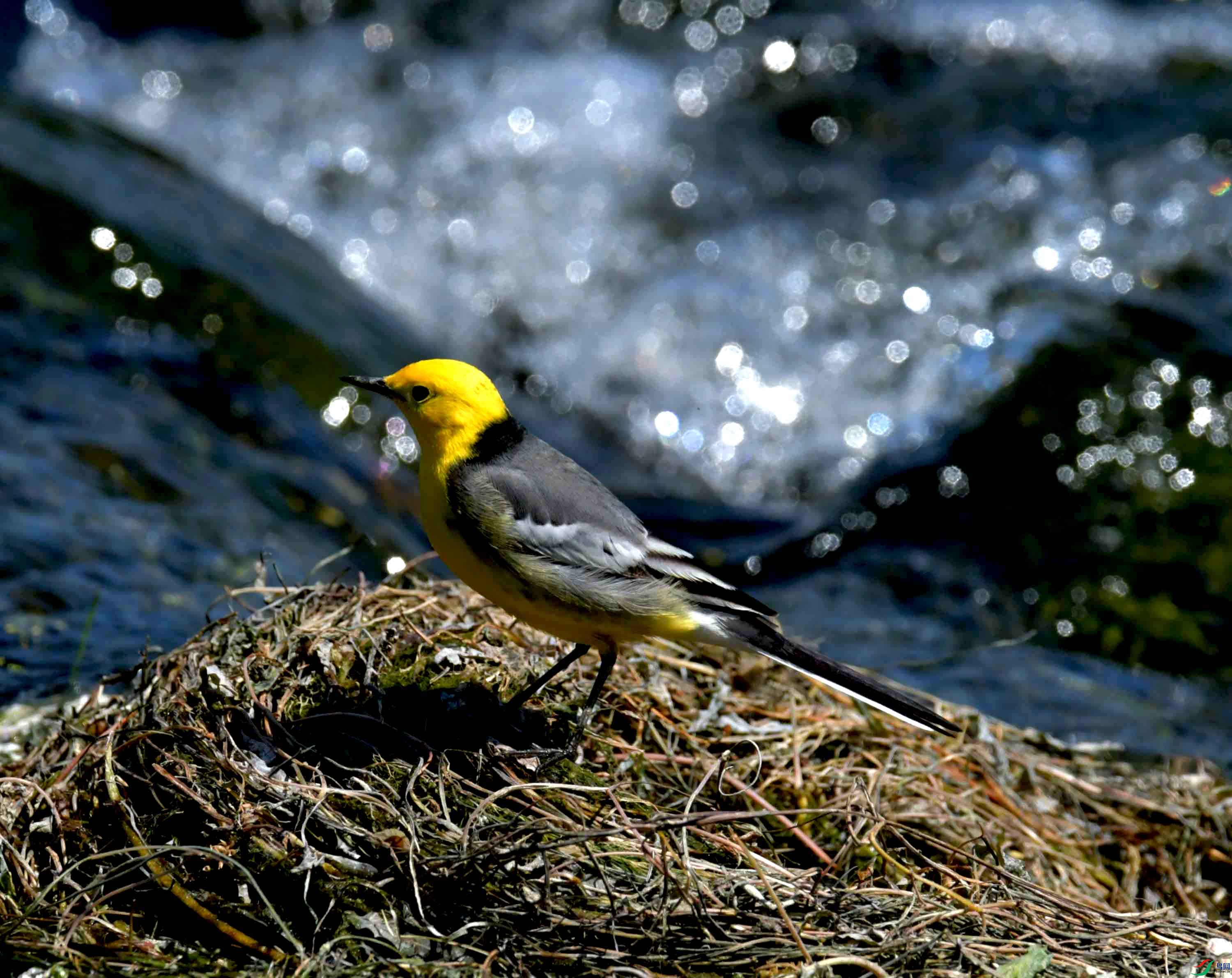 DSC_0240.JPG