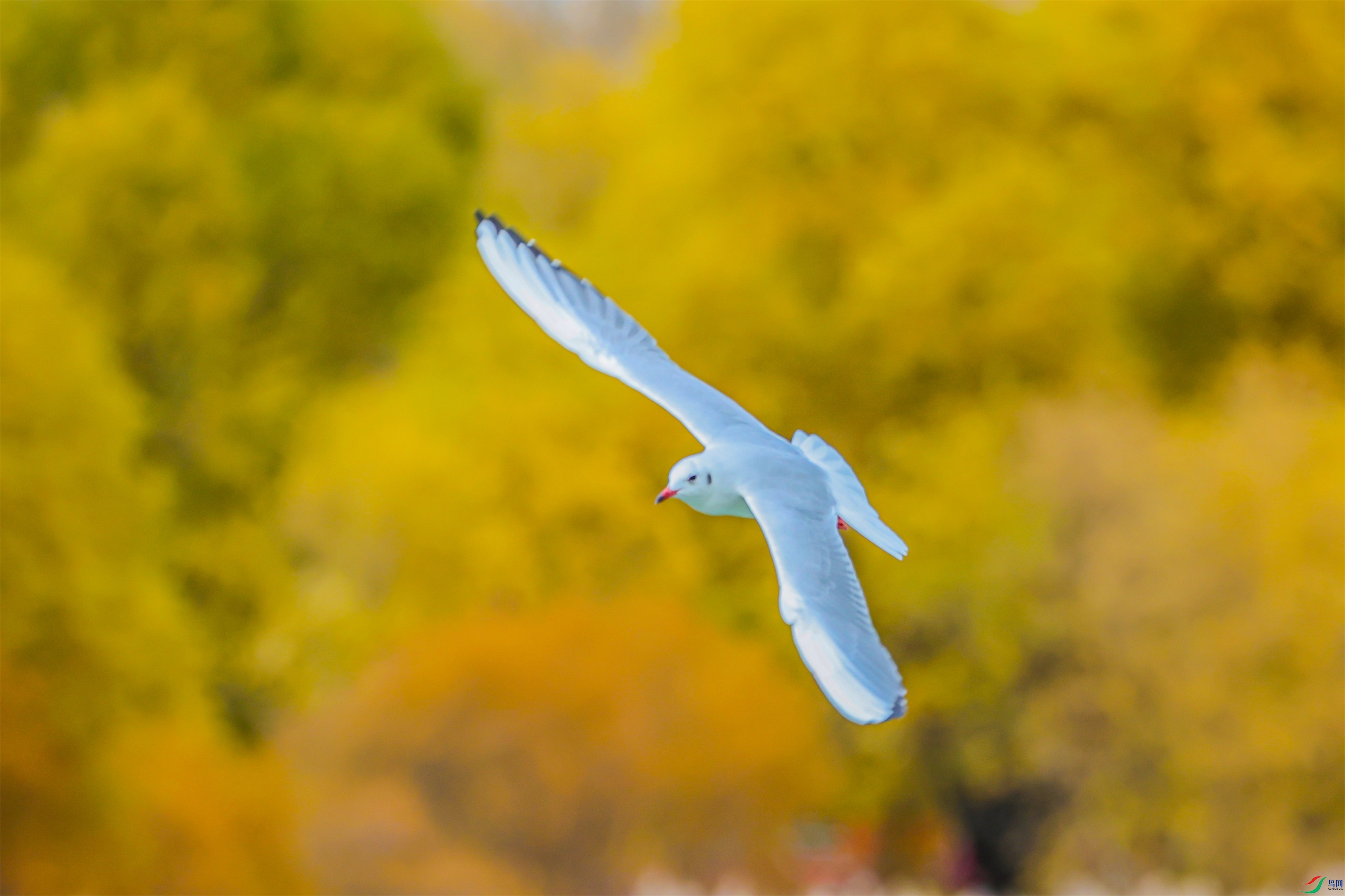 1K3A0094 ����1.jpg