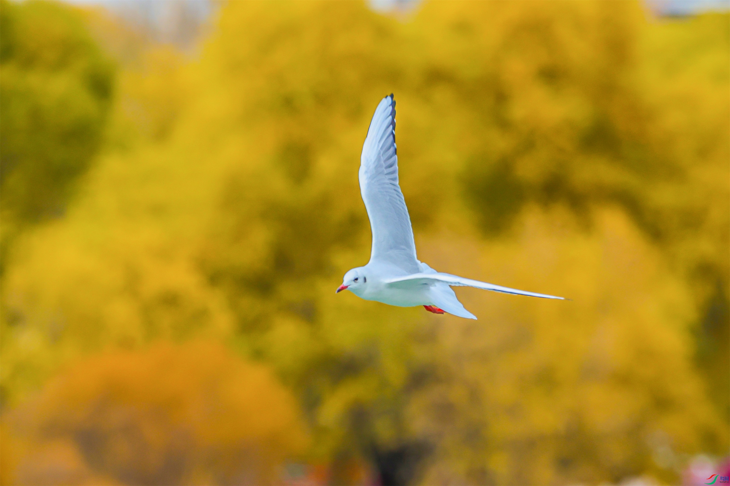 1K3A0093 ����1.jpg