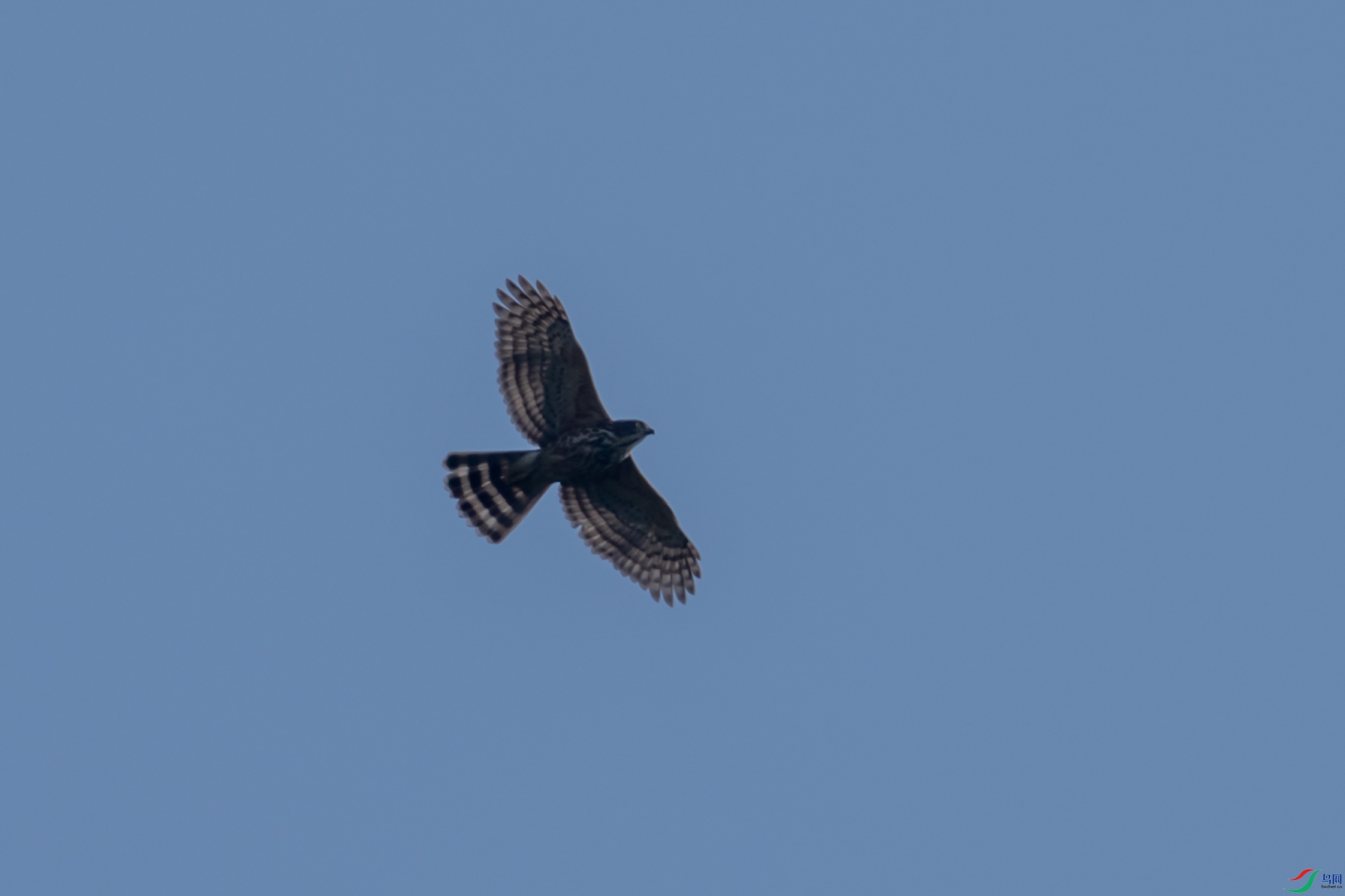 DSC04169-1.JPG