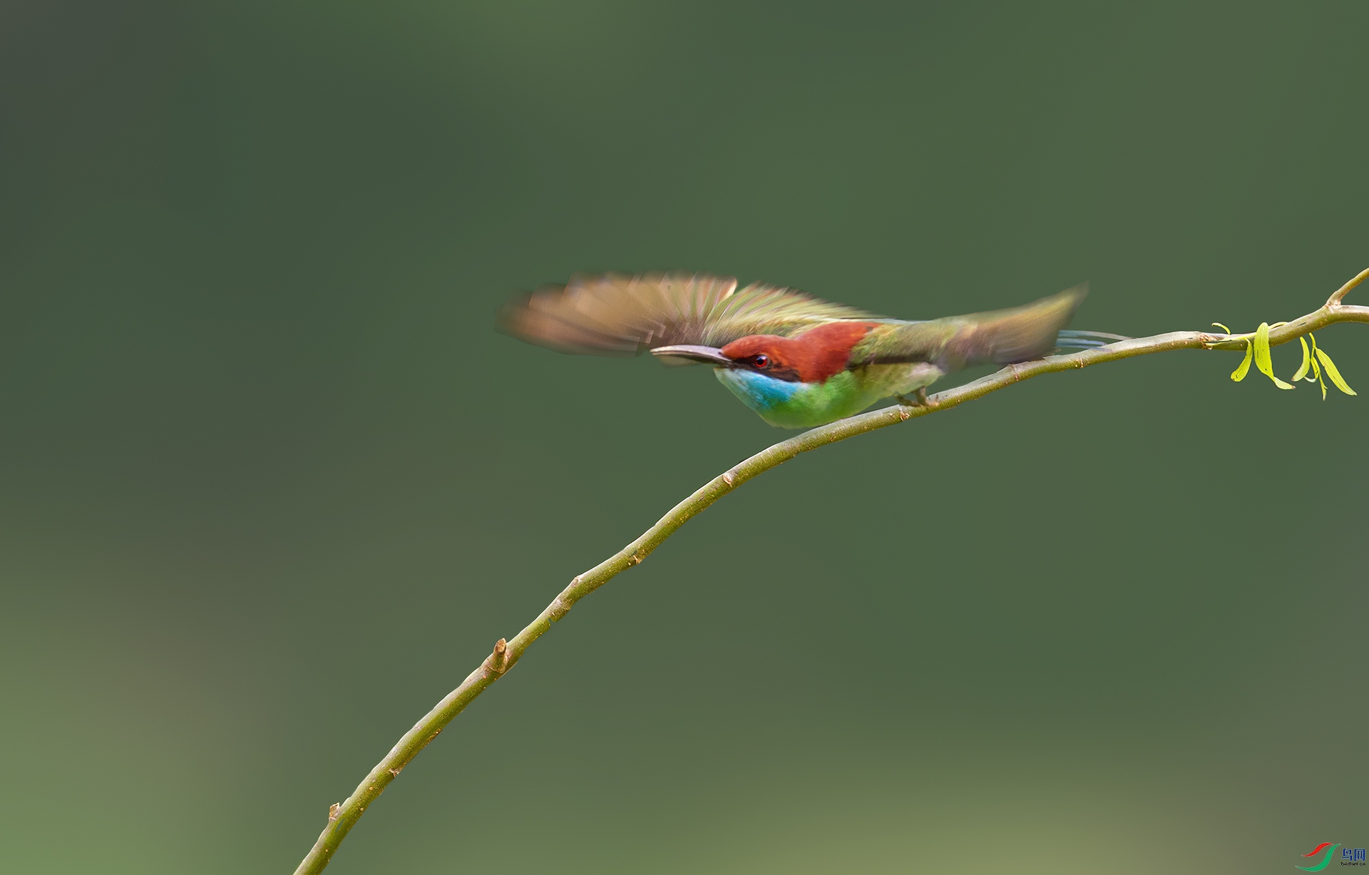DSC_750322.jpg