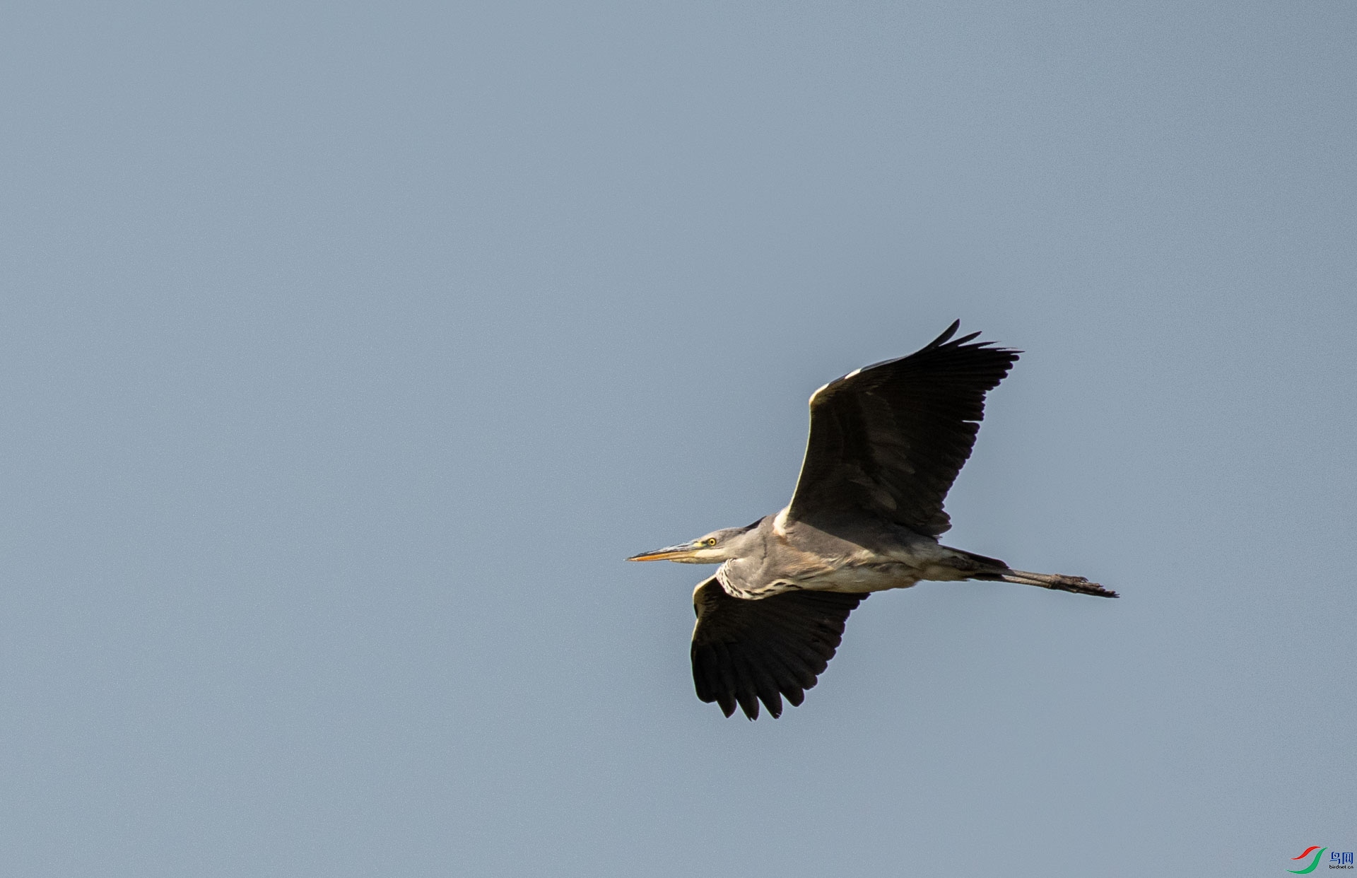 DSC_3372.jpg